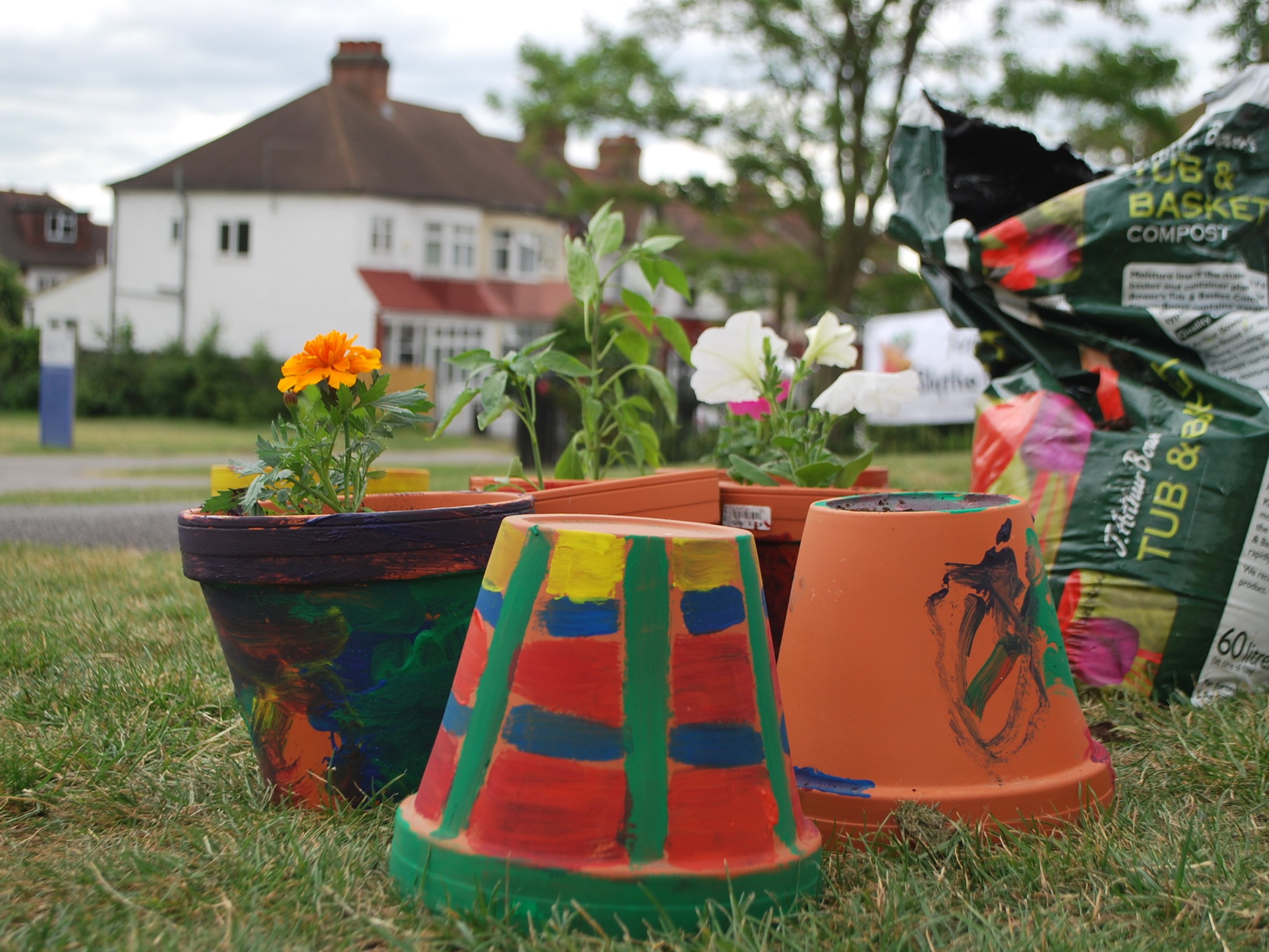 Planting - May 2011 