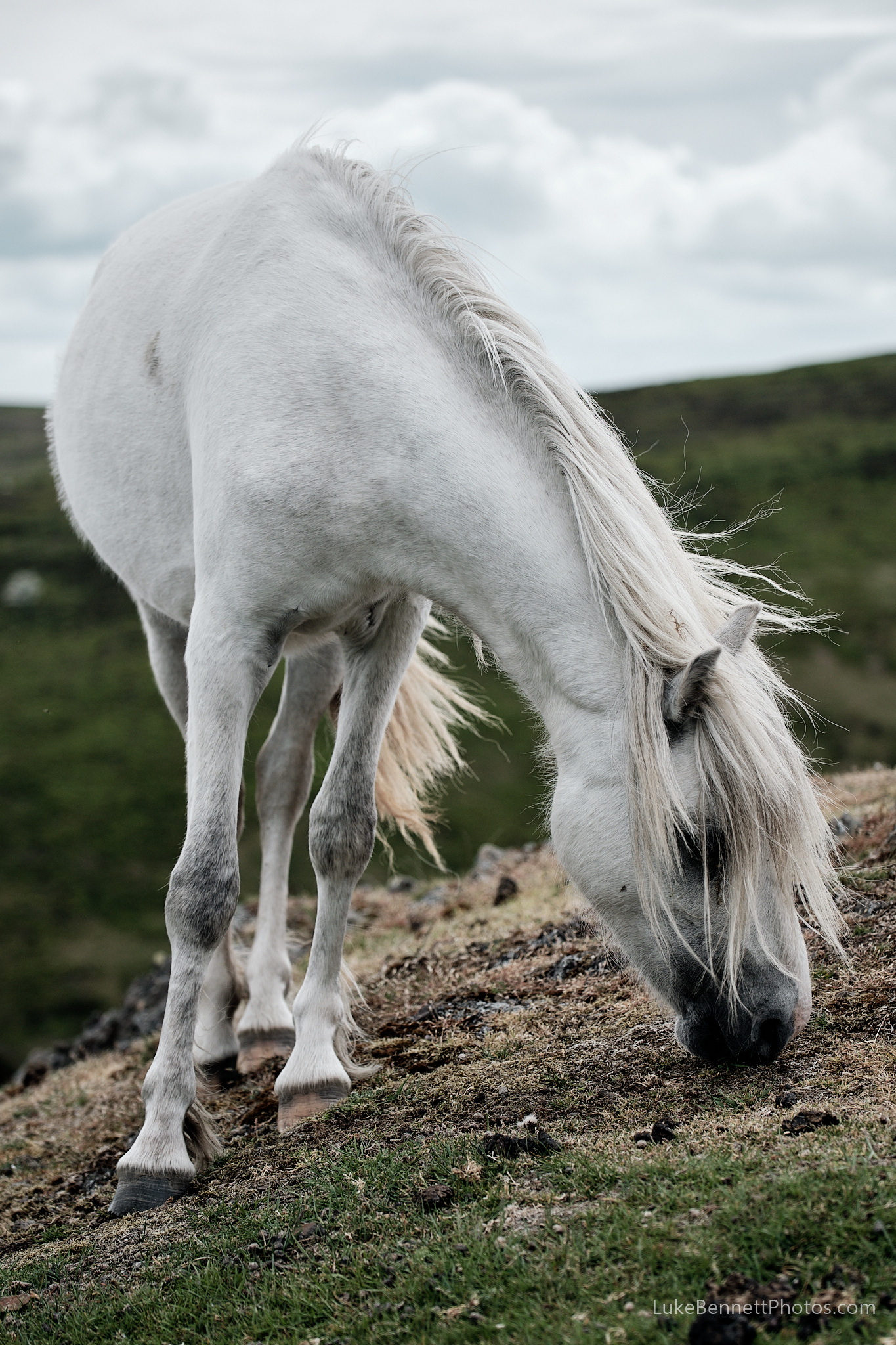  www.lukebennettphotos.com 