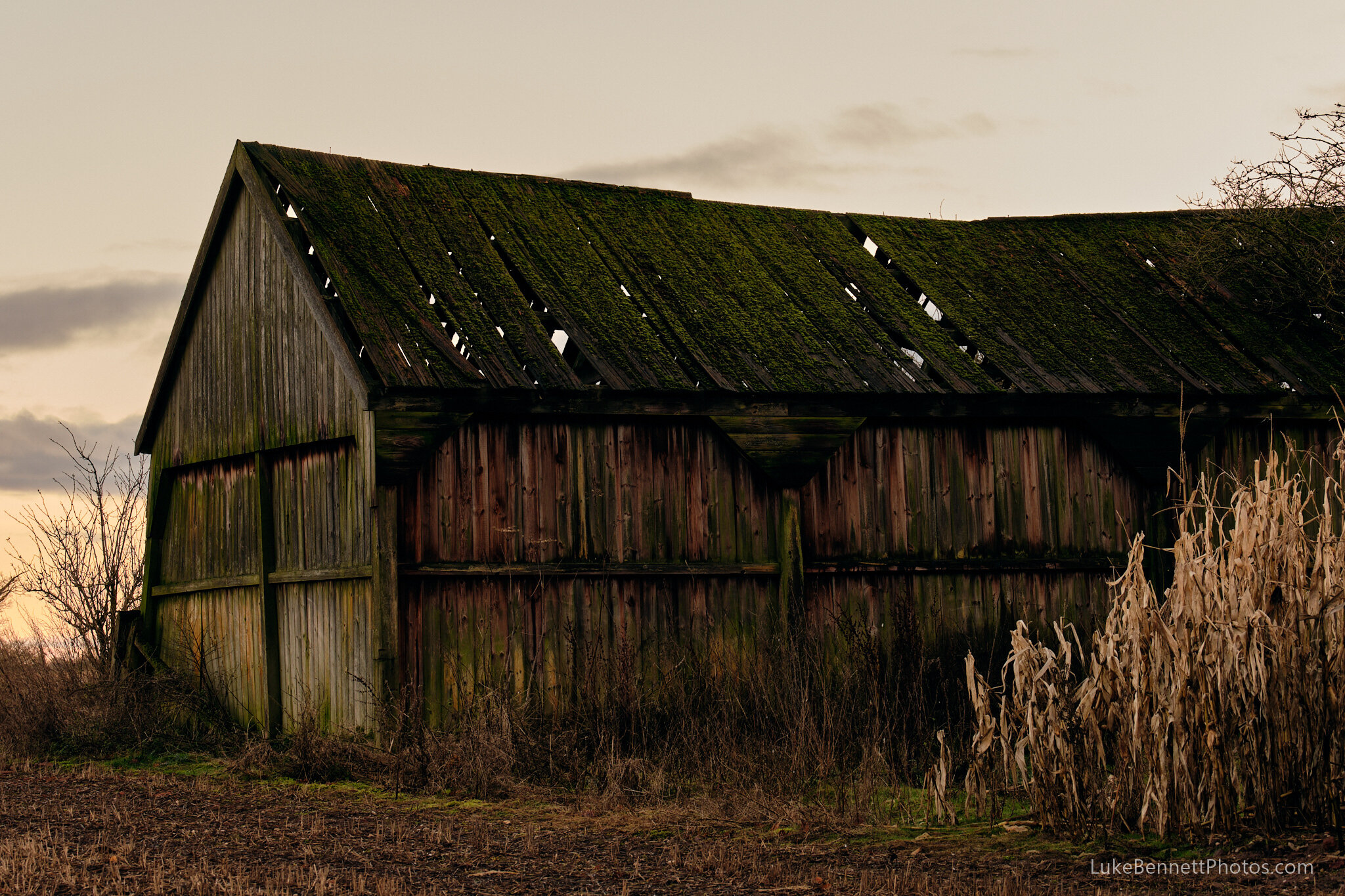 Abandoned Barn