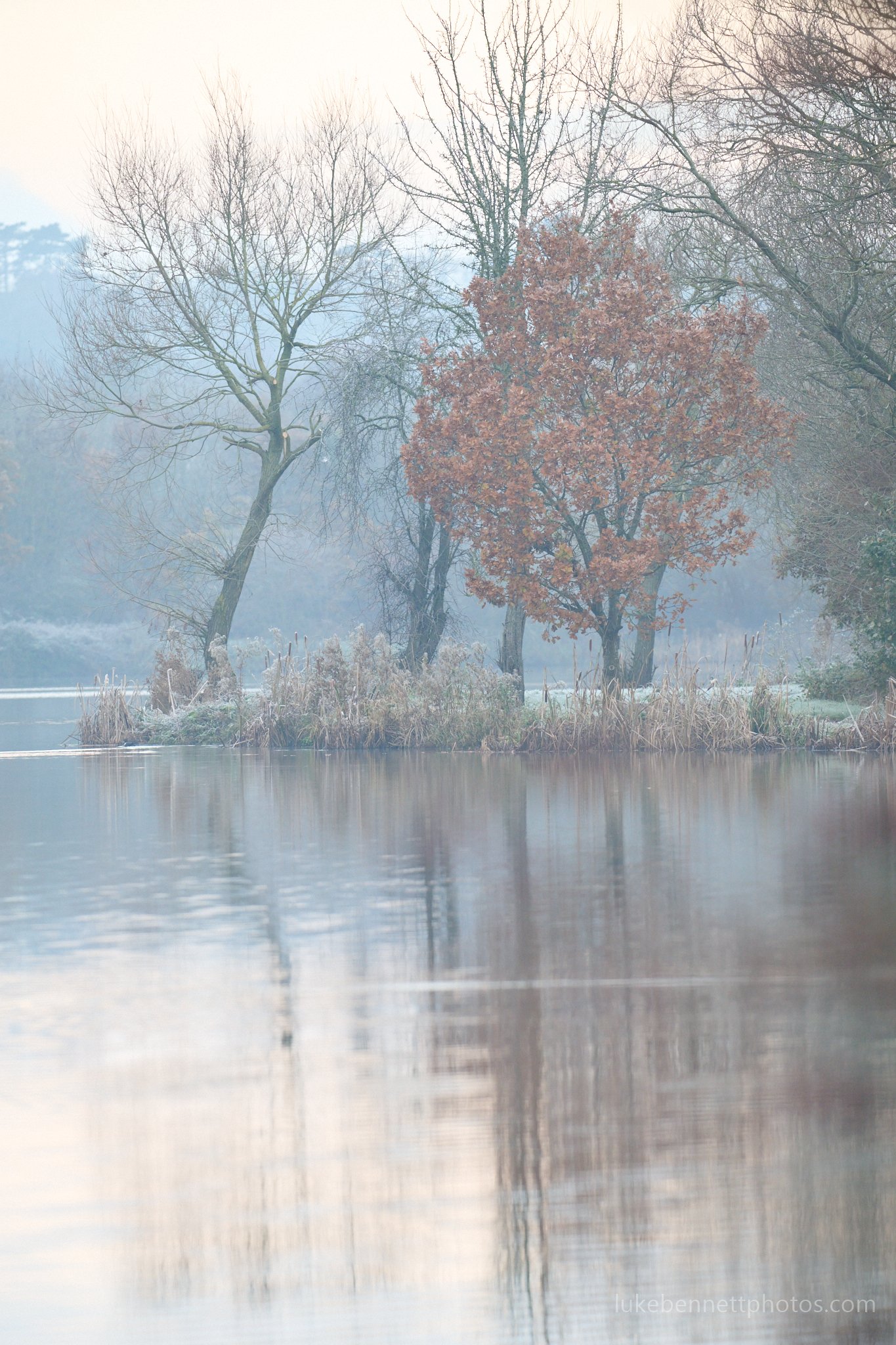  A very early, cold and frost morning at Barston Lake.  www.lukebennettphotos.com 