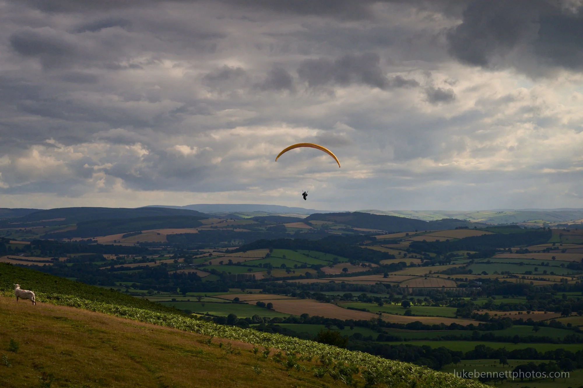 2024-07-26 18.05.25.jpg