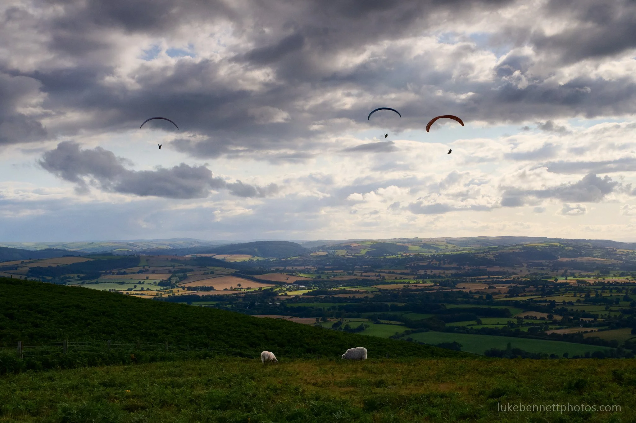 2024-07-26 18.17.38 5.jpg