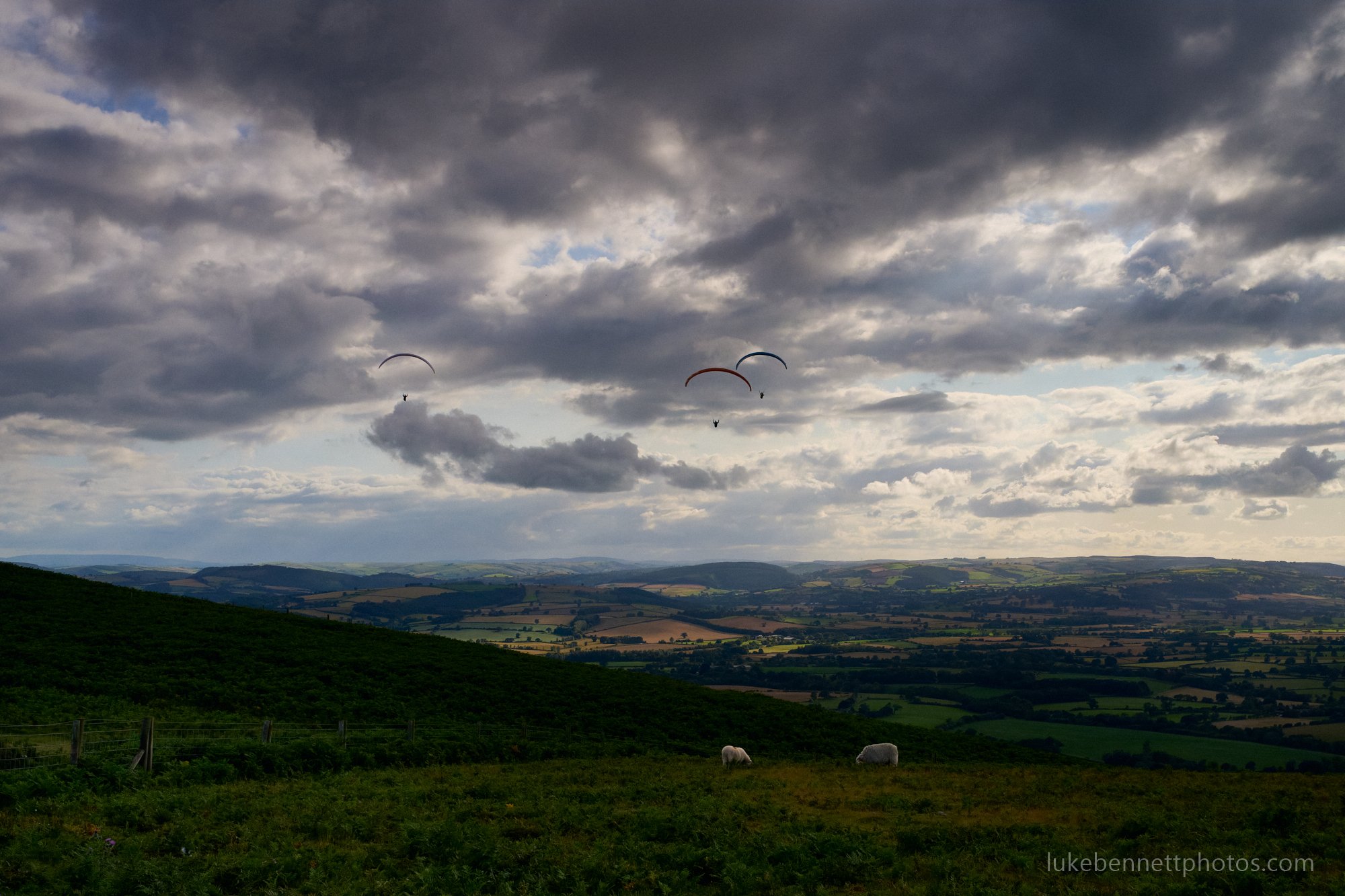 2024-07-26 18.17.45 13.jpg