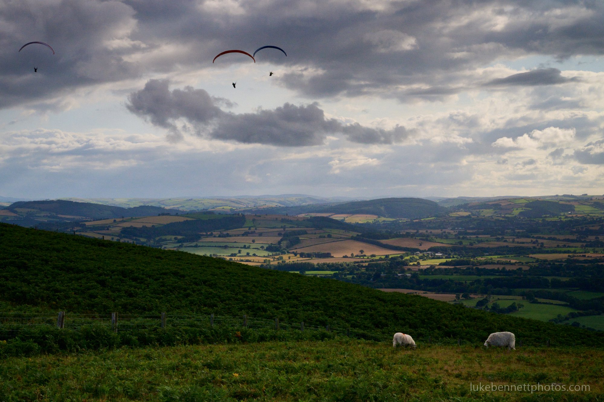 2024-07-26 18.17.55.jpg