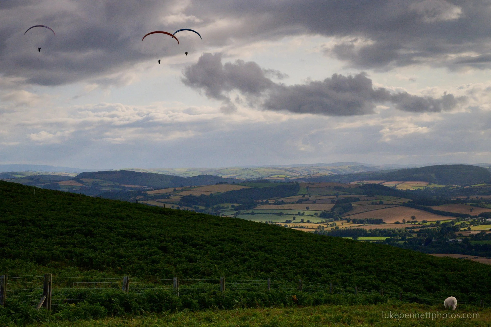 2024-07-26 18.18.01.jpg