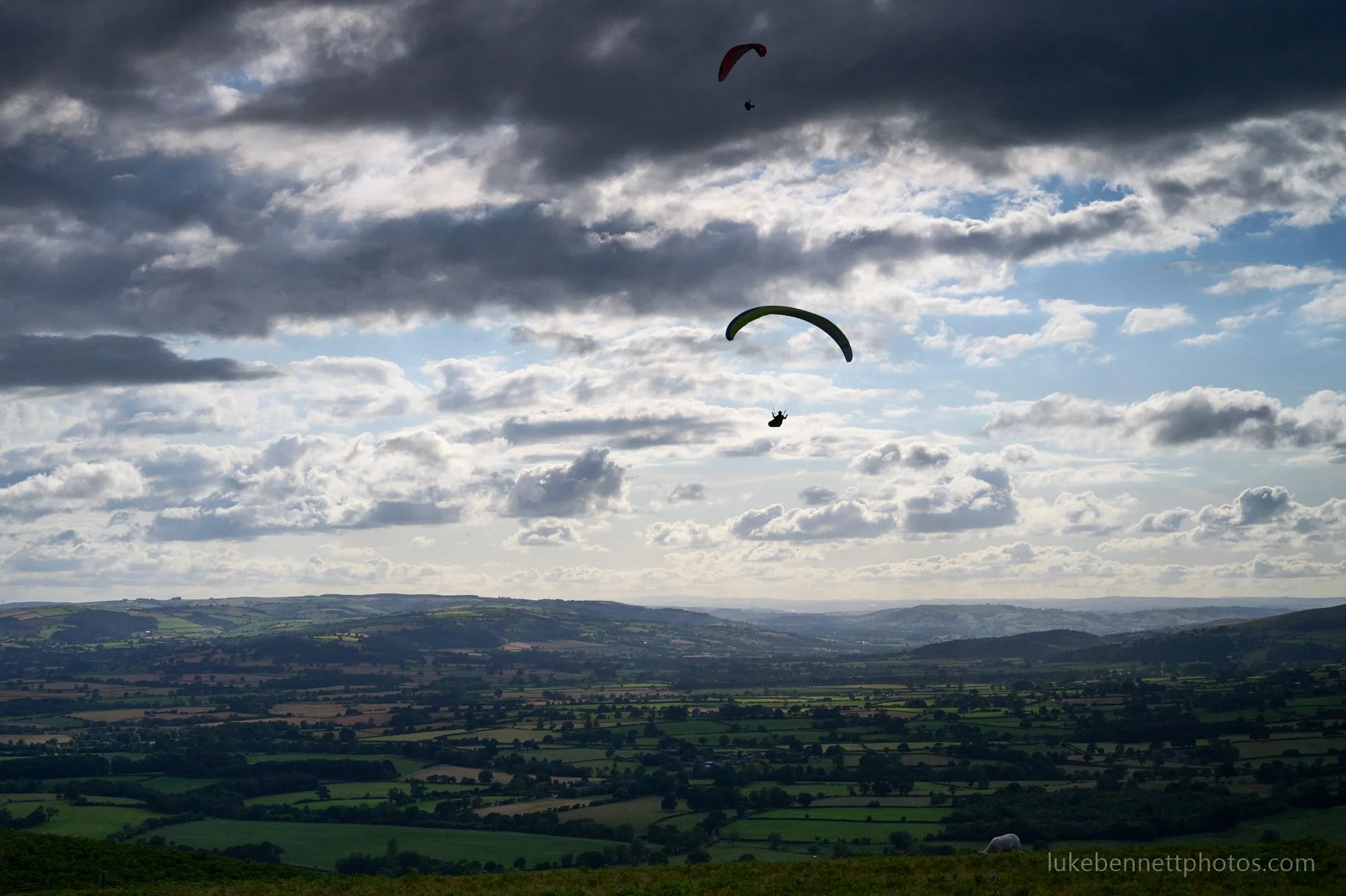 2024-07-26 18.19.16 3.jpg