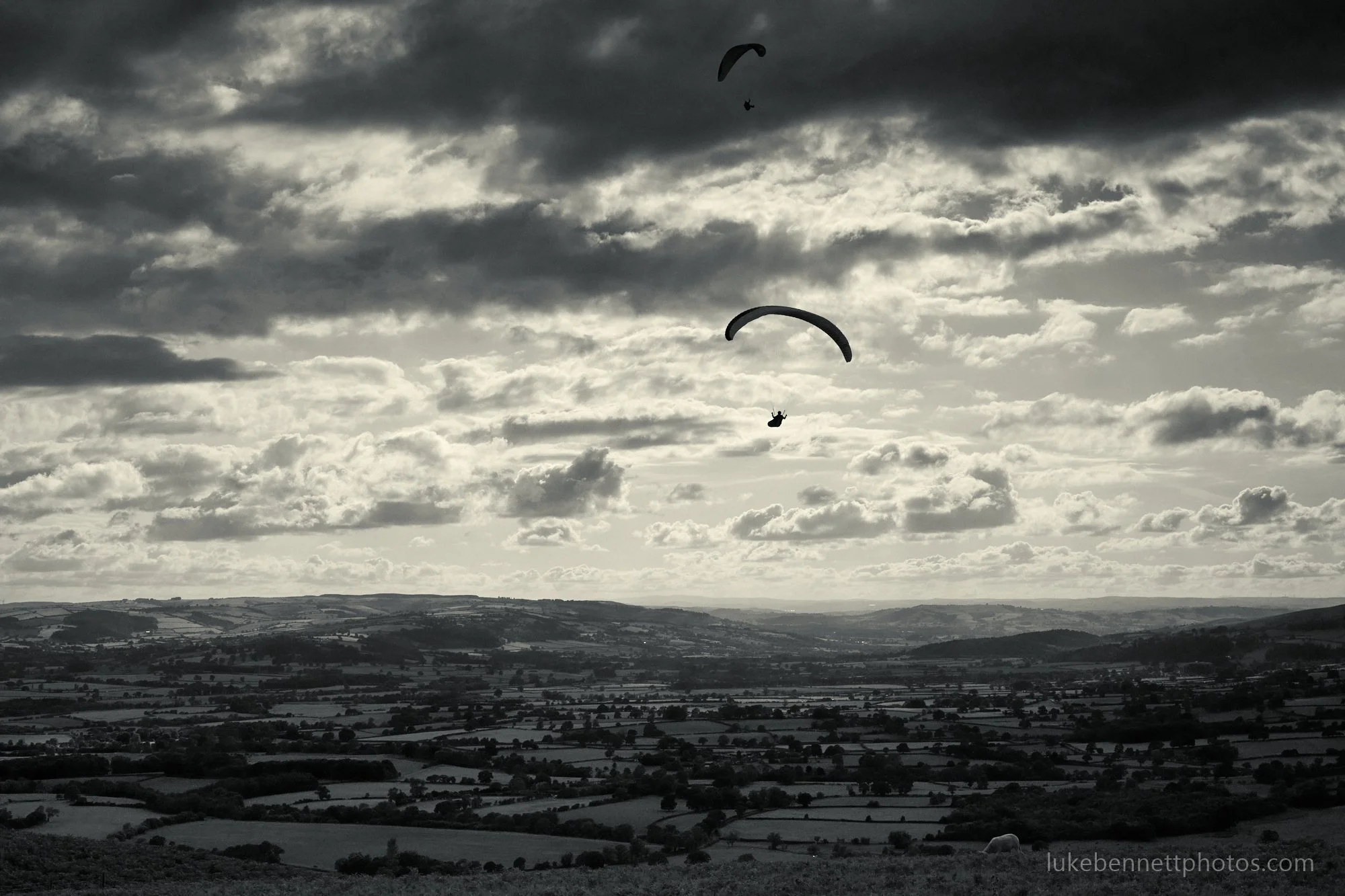 2024-07-26 18.19.16 5.jpg