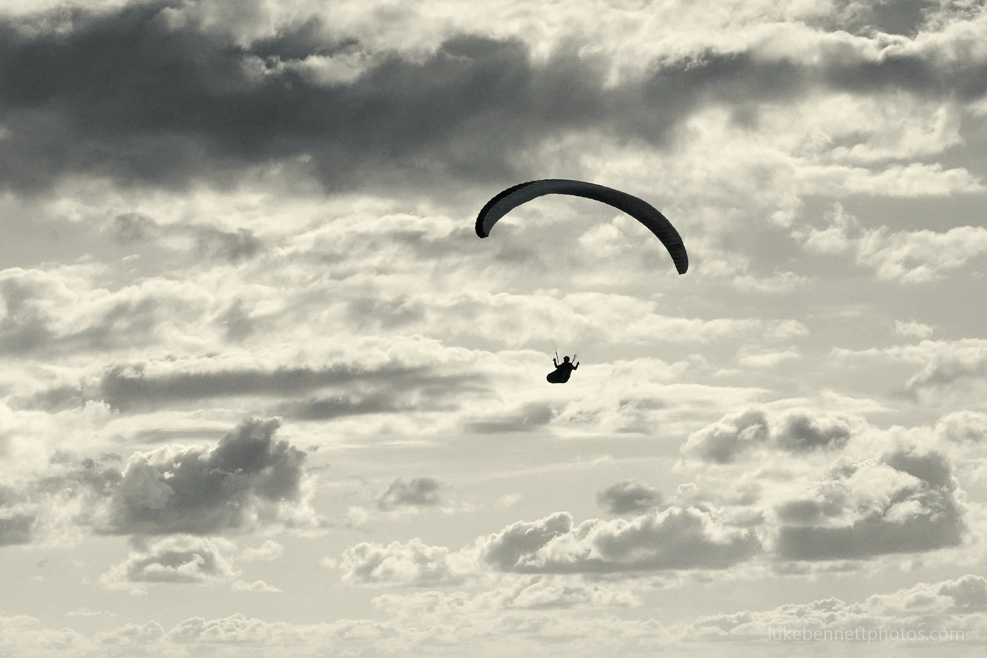 2024-07-26 18.19.16 7.jpg