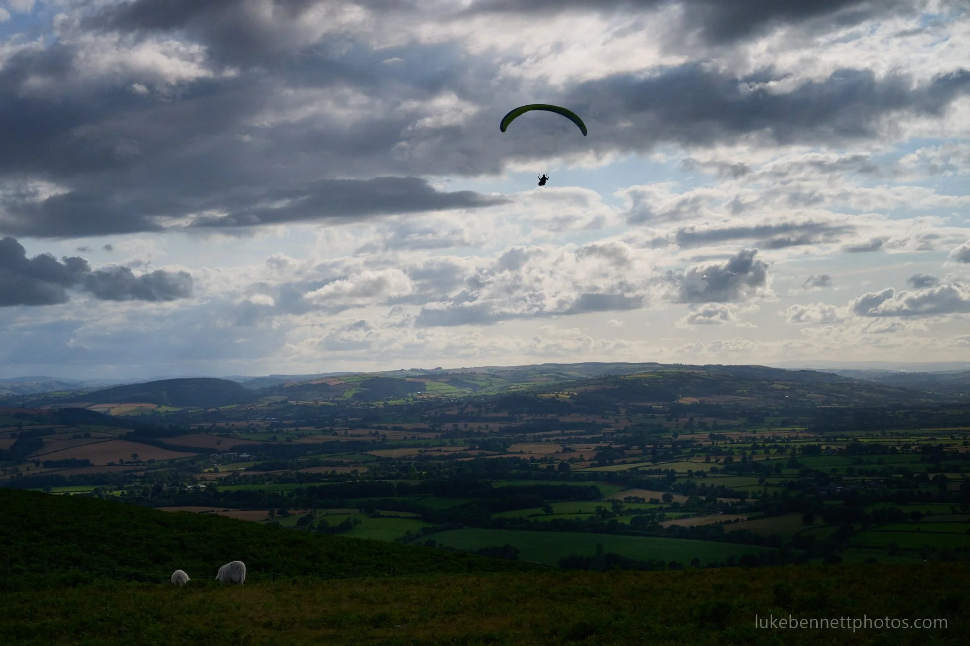 2024-07-26 18.19.25.jpg