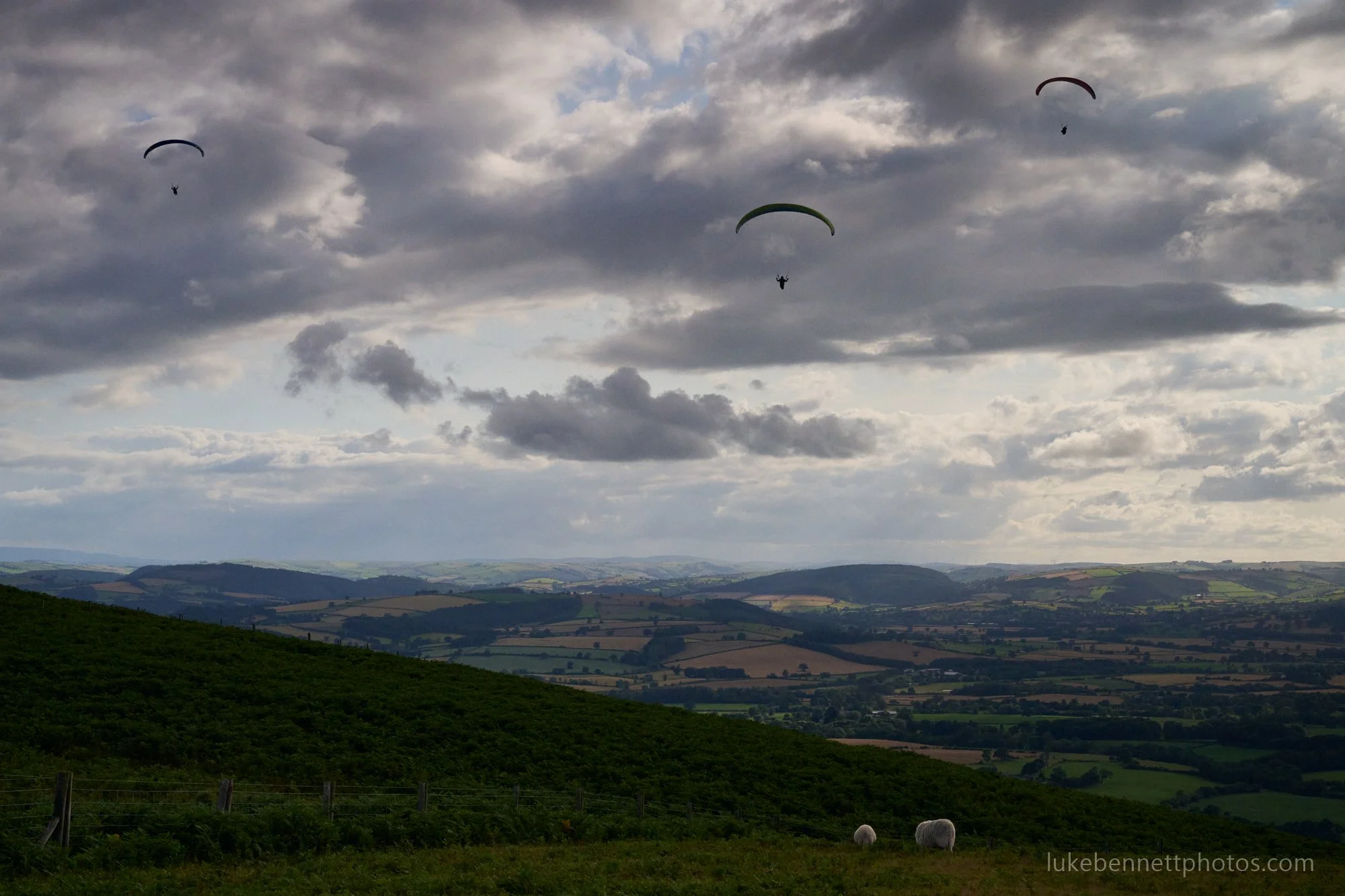 2024-07-26 18.19.45.jpg