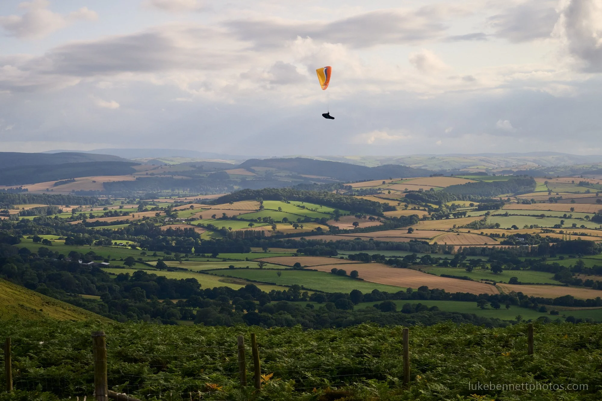 2024-07-26 18.34.30 1.jpg