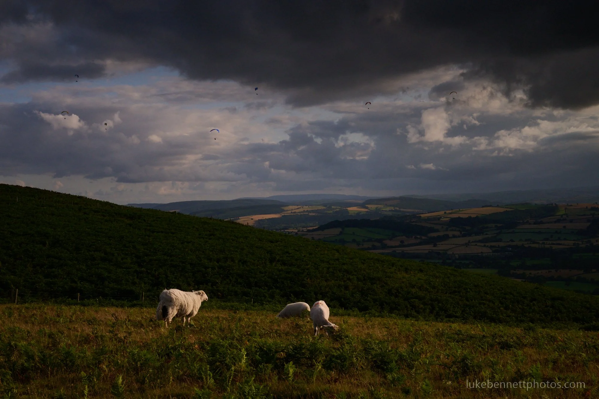 2024-07-26 19.33.51 1.jpg