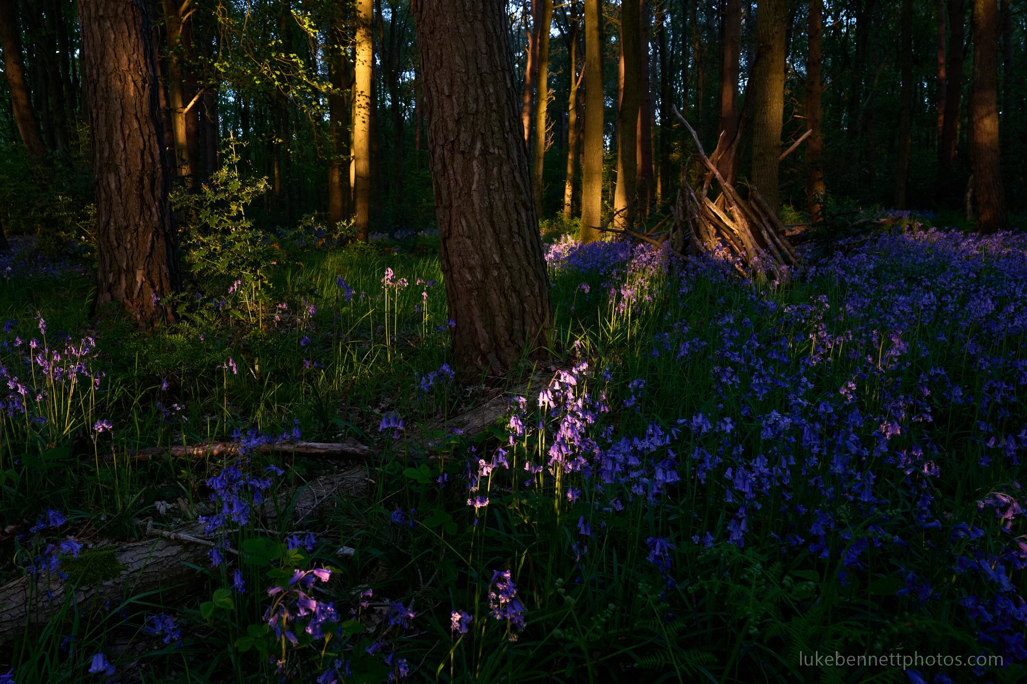  www.lukebennettphotos.com 