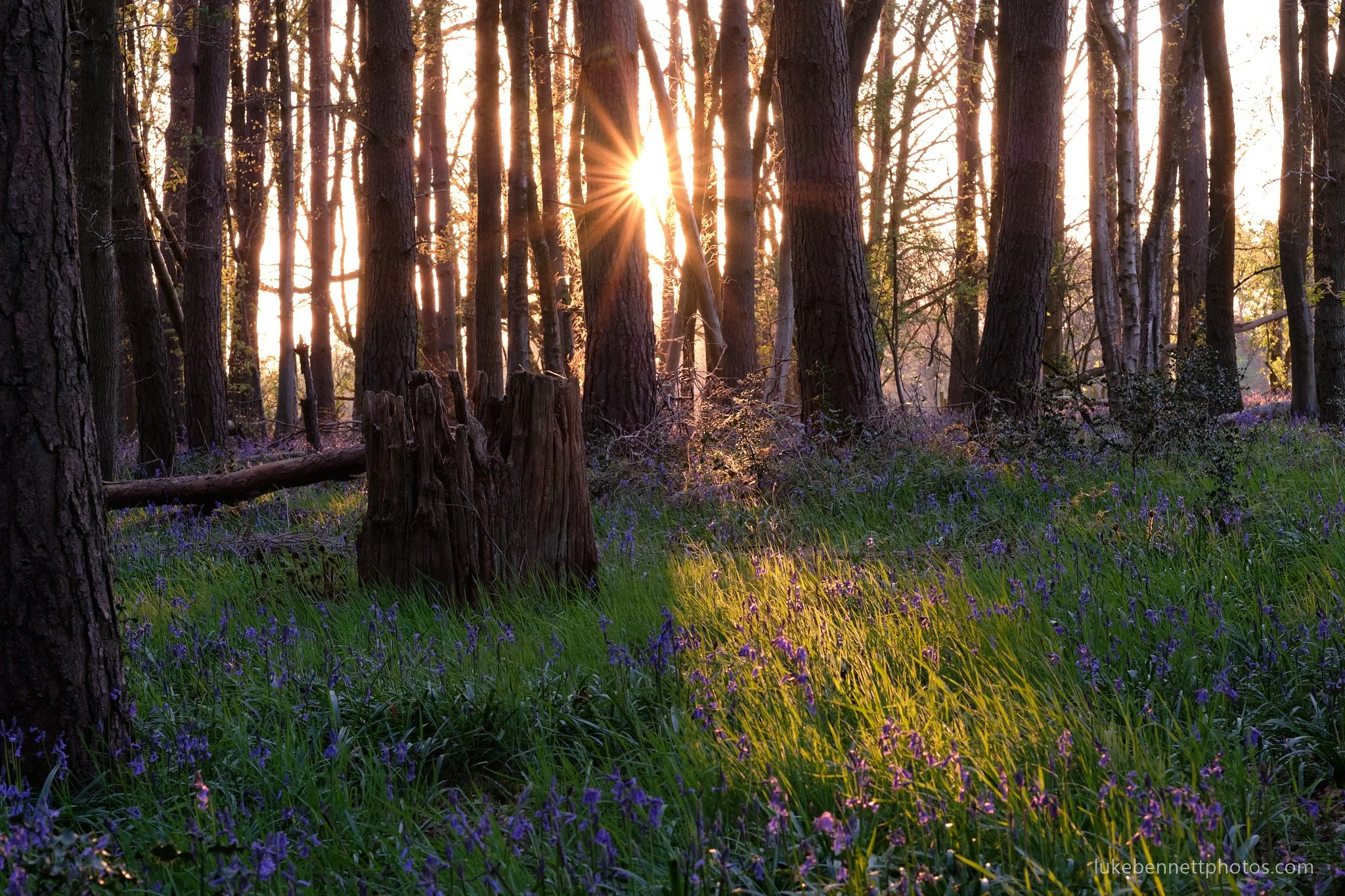  www.lukebennettphotos.com 