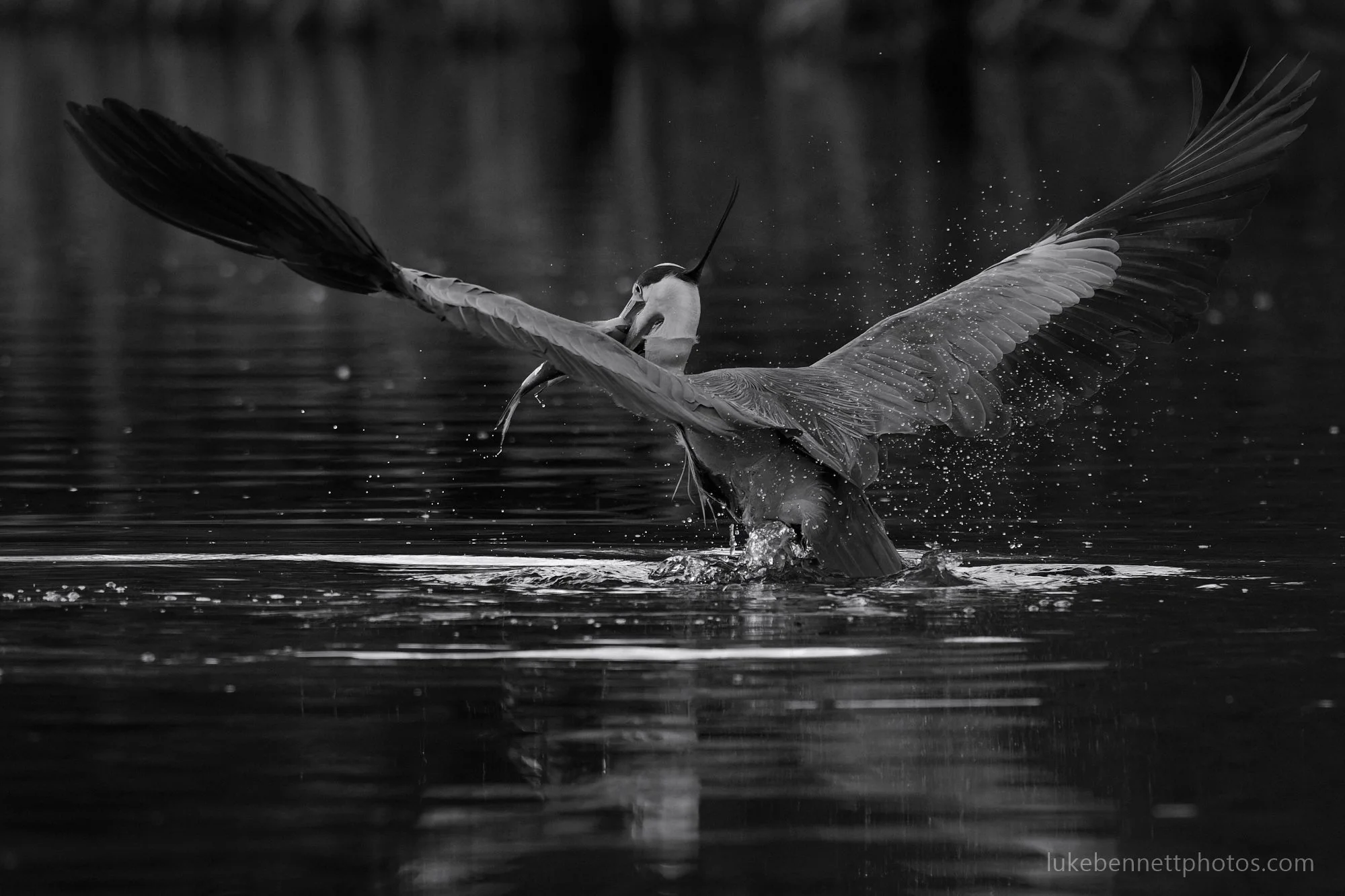 A successful catch!