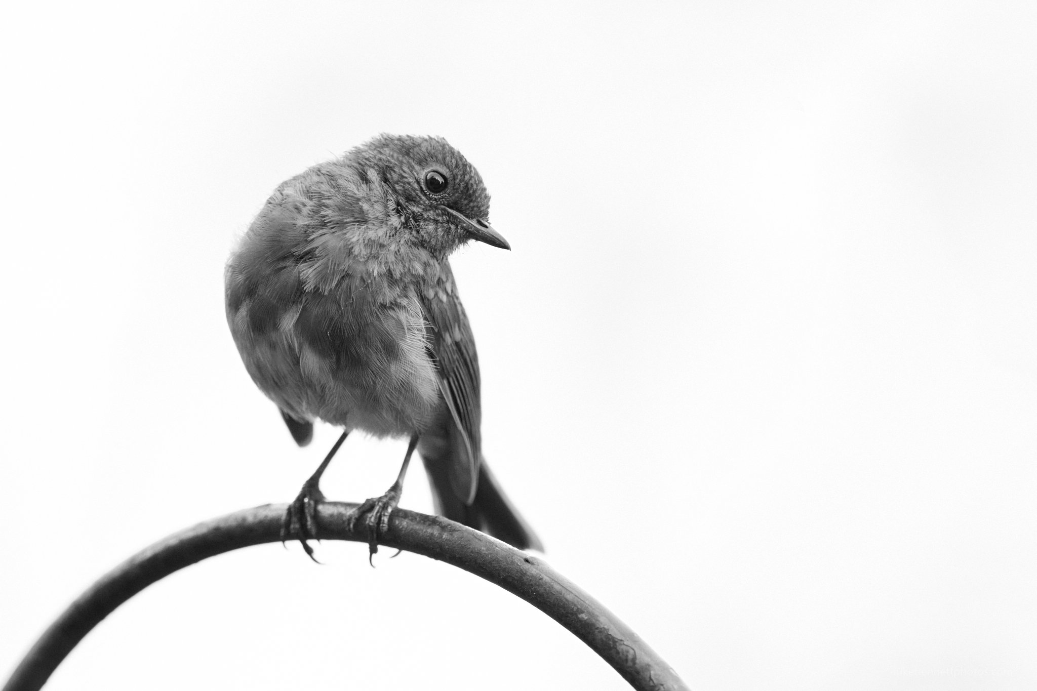  www.lukebennettphotos.com 