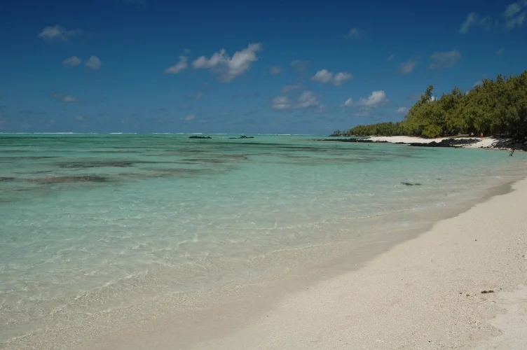 CATAinMauritius 071.jpg