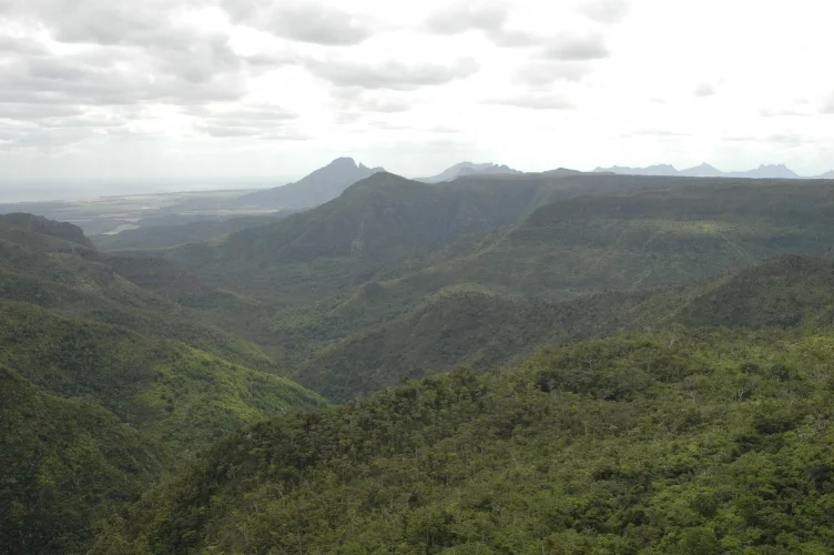 CATAinMauritius 160.jpg