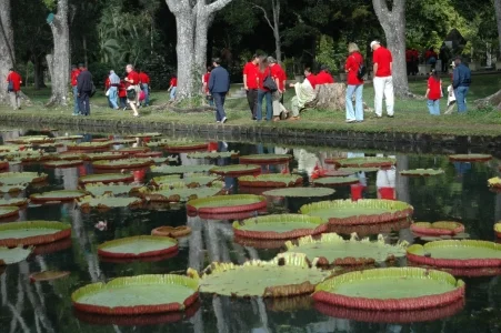 CATAinMauritius 036.jpg