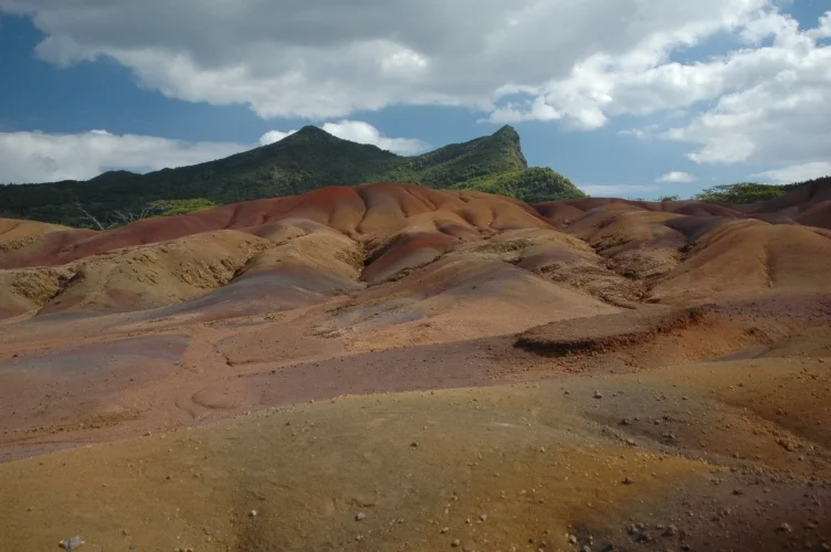 CATAinMauritius 172.jpg