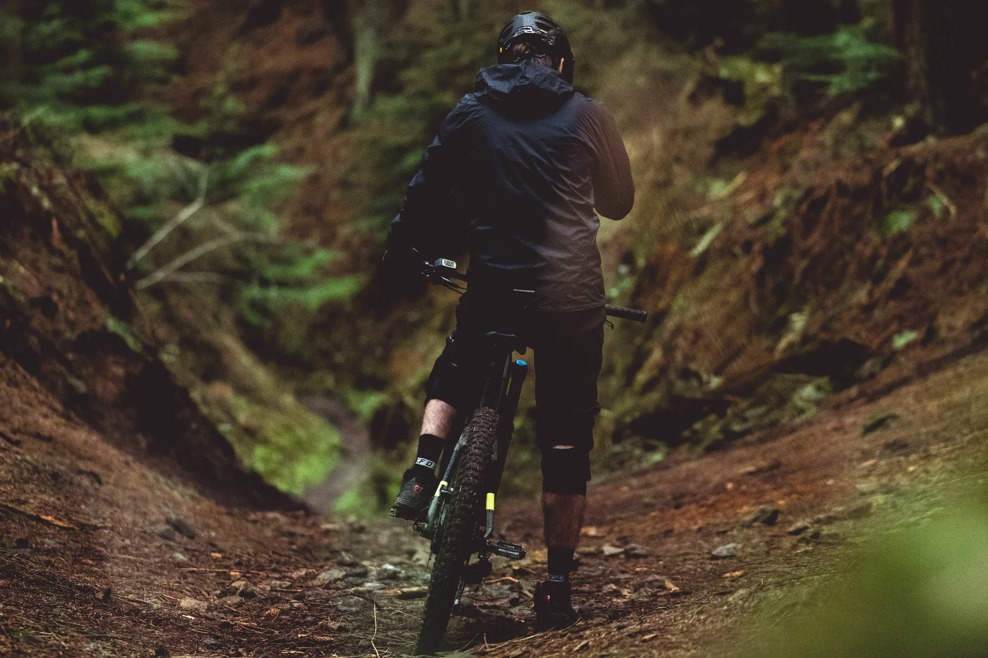 dalby forest mountain bike