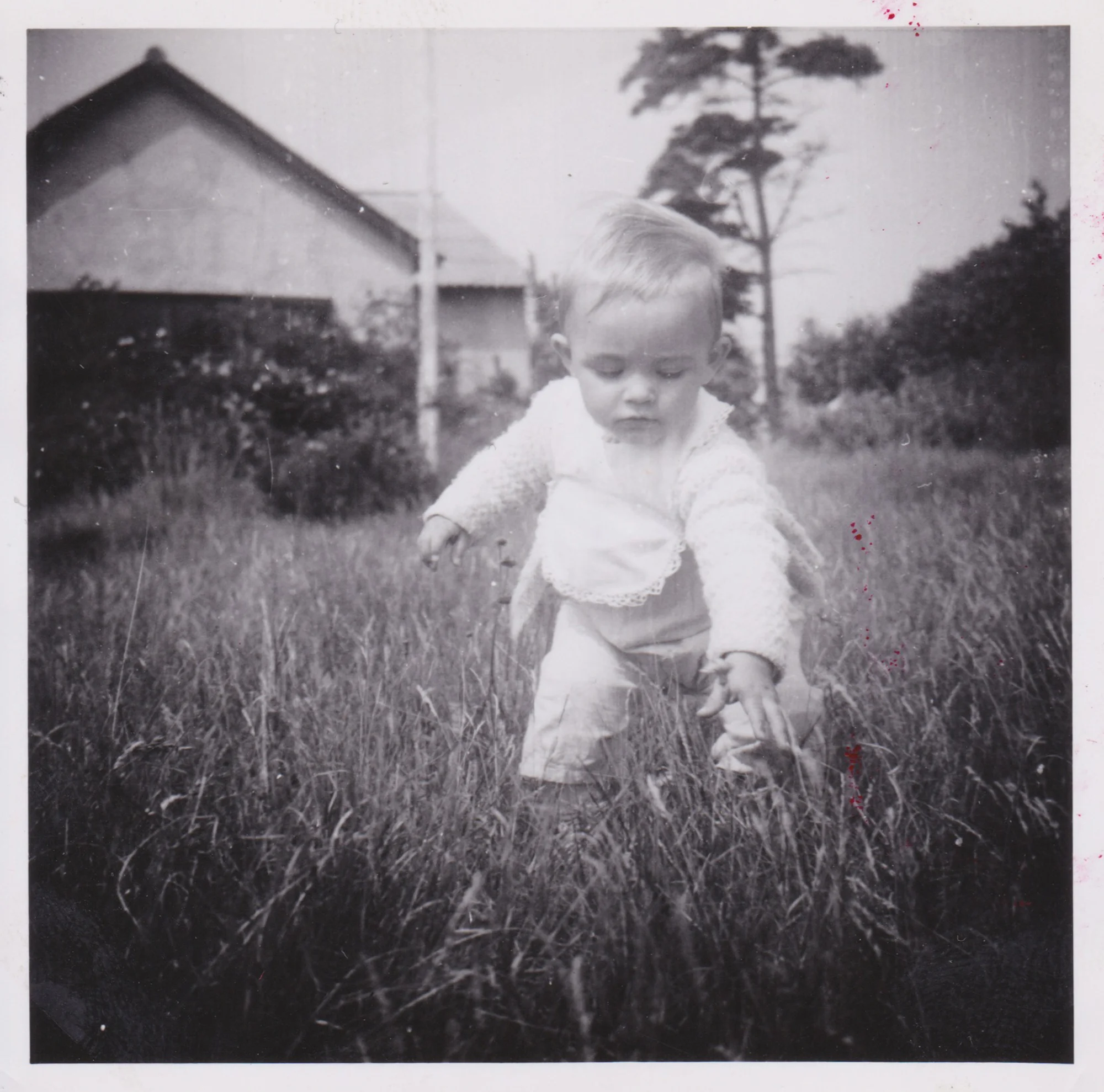 Album 1963-1964 5-2000.jpg