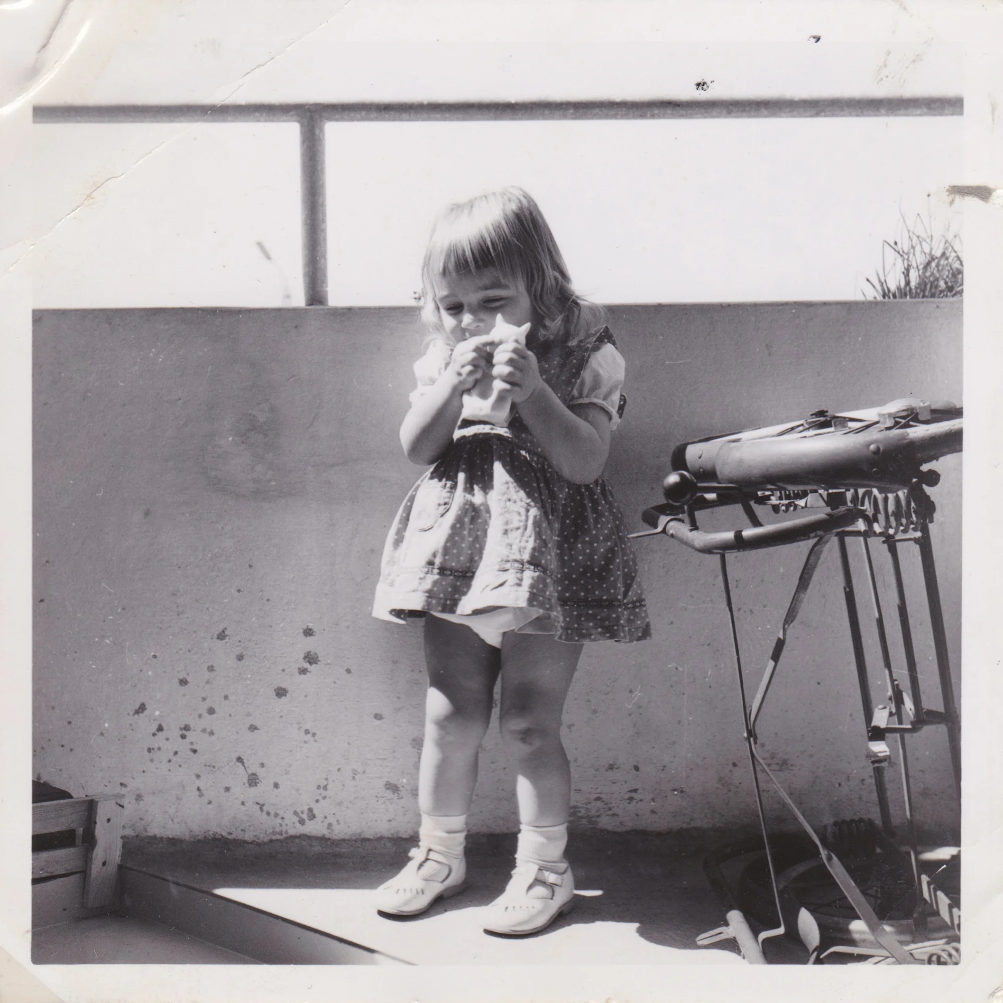 Album 1963-1964 39-2000.jpg