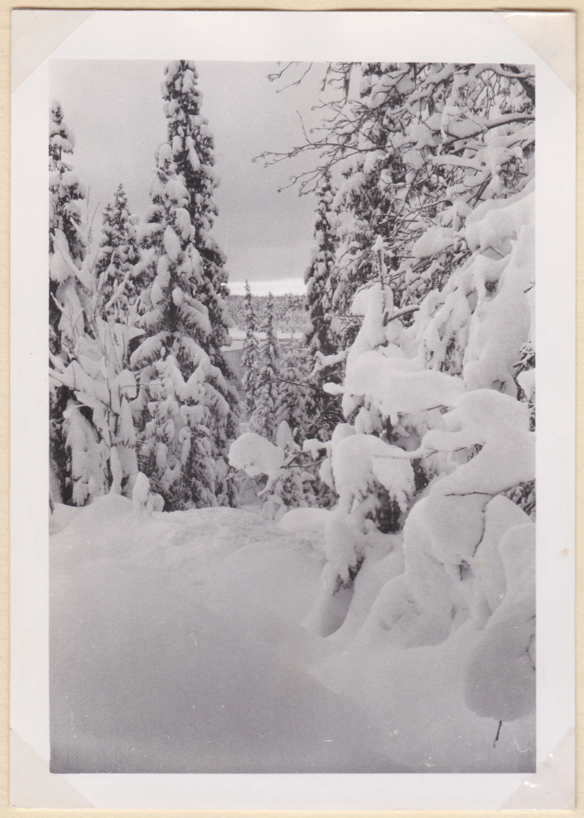Ivalo på ski (1958) 2-2000.jpg
