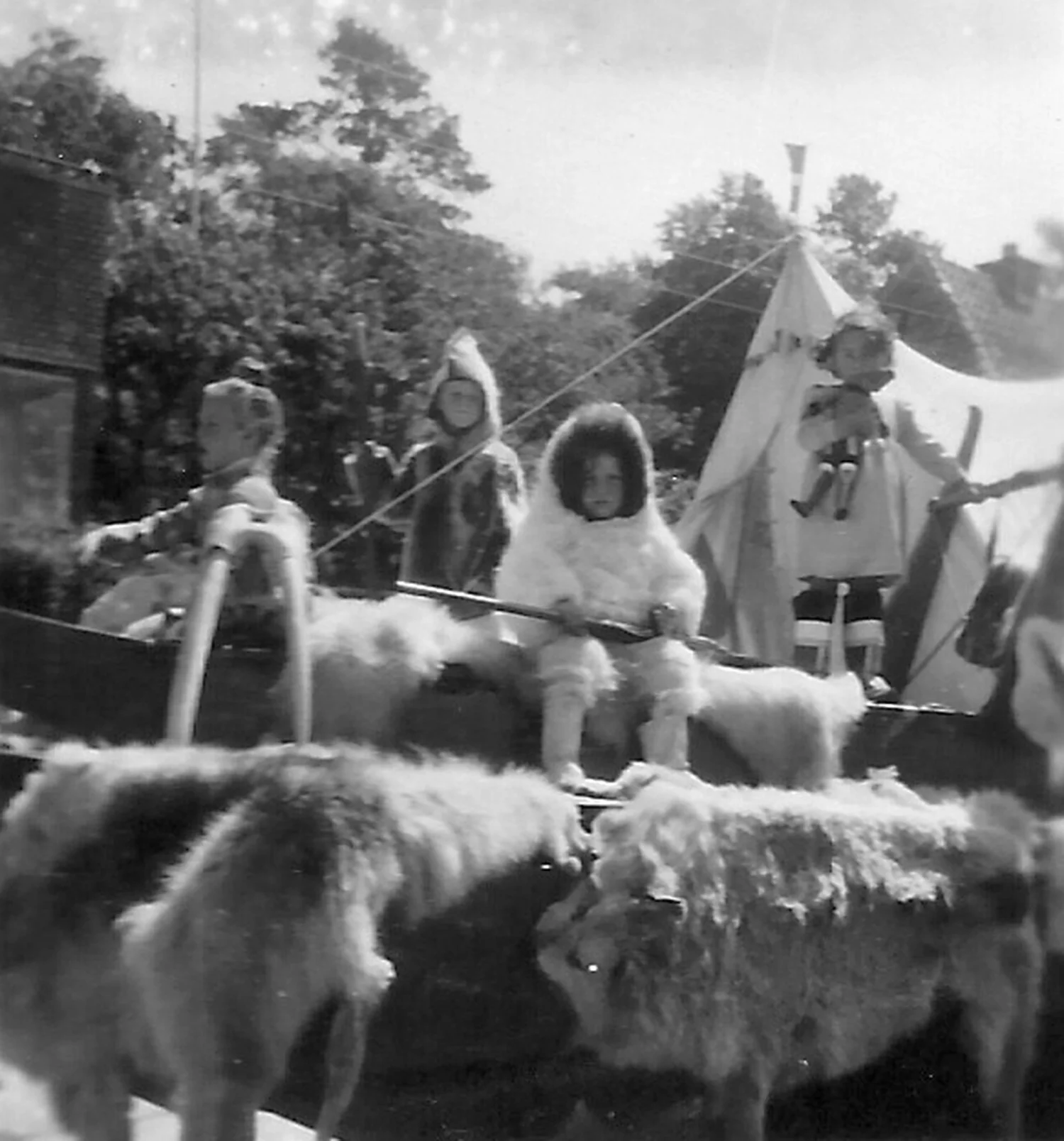 Ivalo, Rolf, Pusser og ukendt. Foto: Lisbet Gilberg.