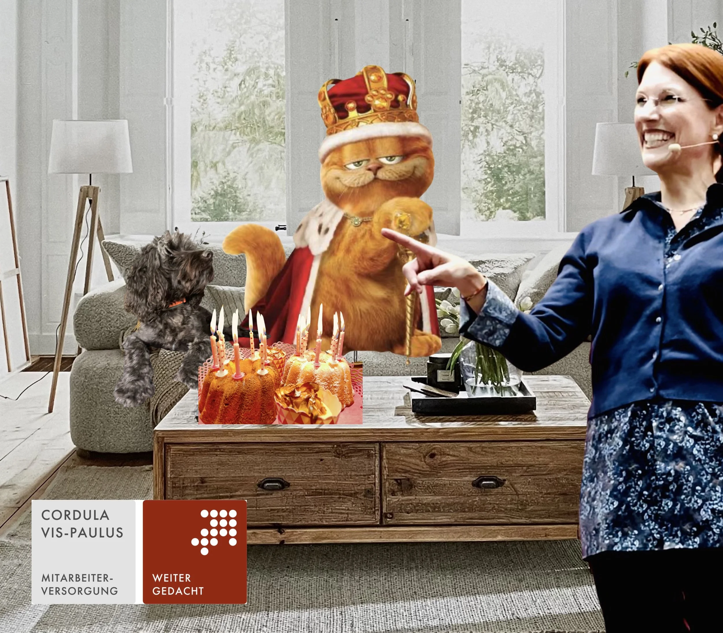 Artgerechter Umgang mit dem bAV-Kater