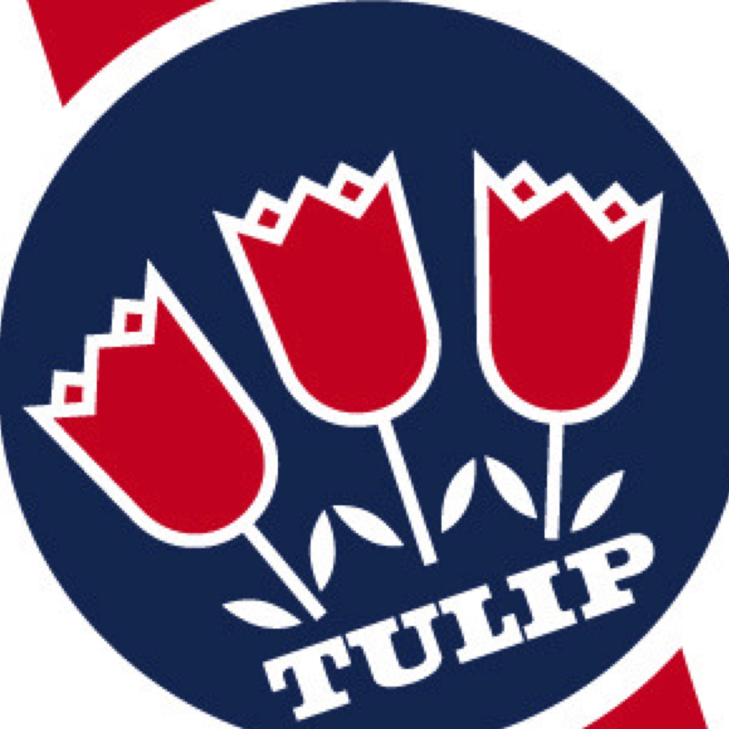 Tulip_Visionise.jpg