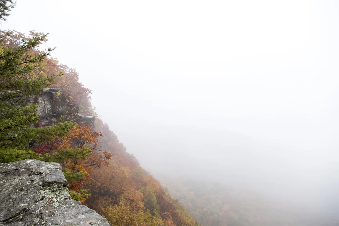 Hike the Escarpment Trail To View The Best In Fall Foliage