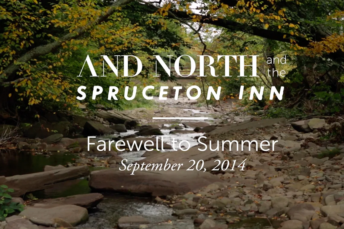 Remembering Our Farewell to Summer Party
