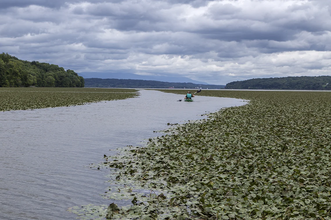 Kayak On The Hudson River To The Esopus Meadows Lighthouse