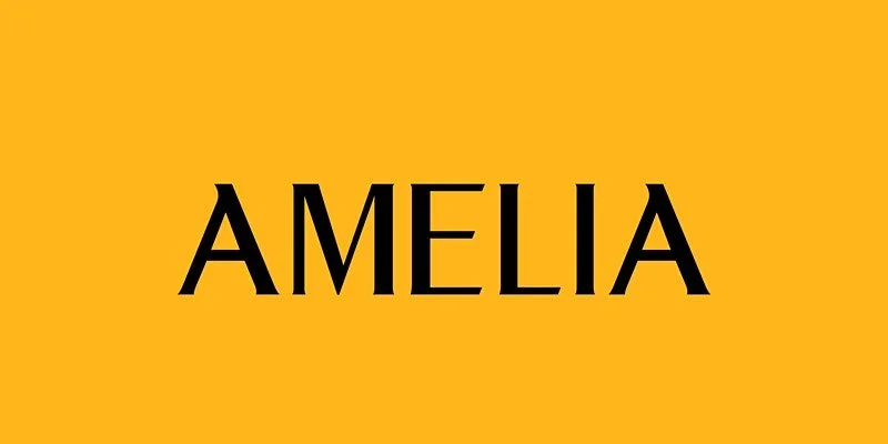 Saturday Literary Series @ The Amelia