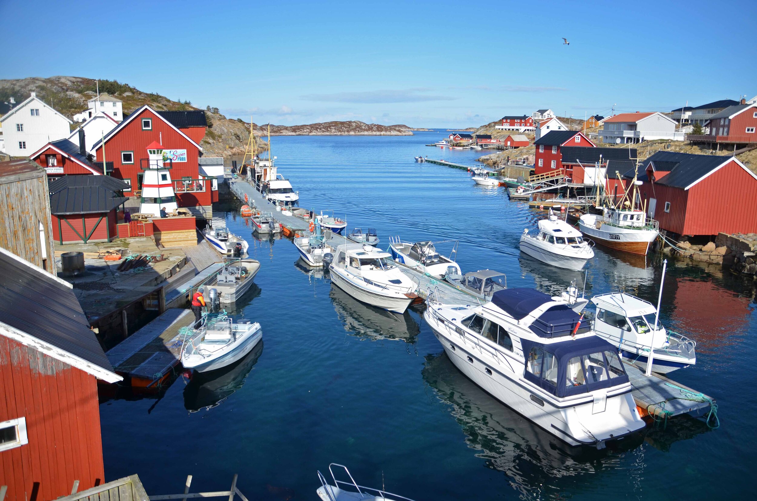 Bogøya7.jpg