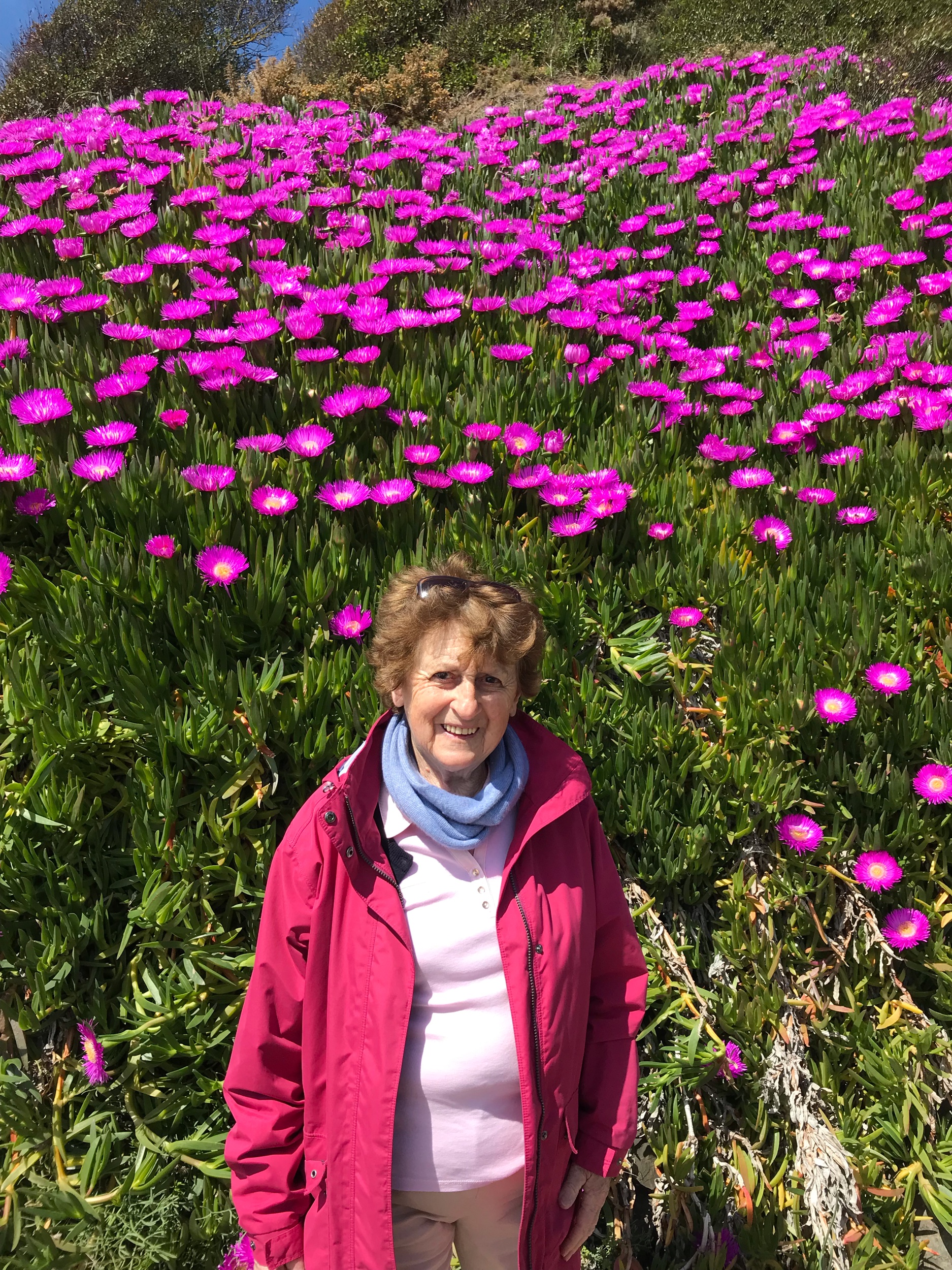 une fleur pArmi les fleurs <3