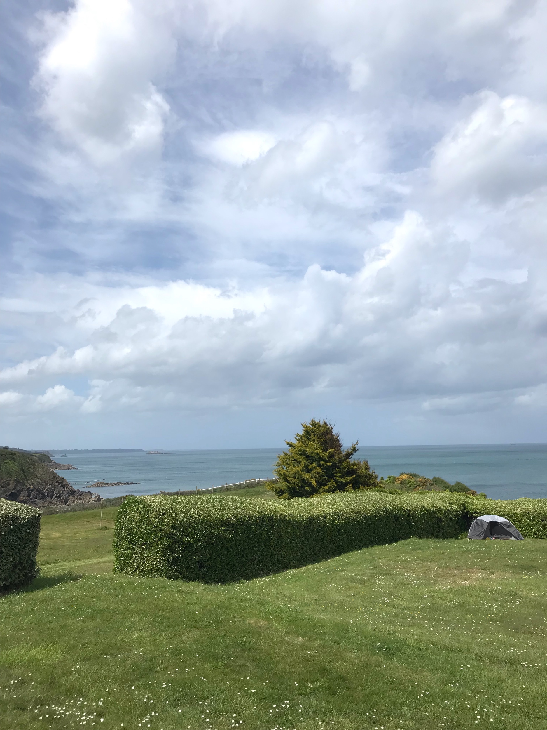 IMG_7204.jpeg