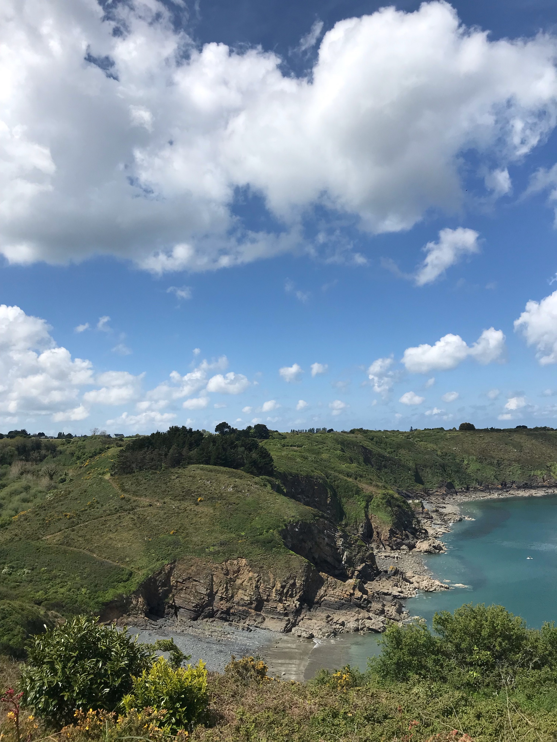 IMG_7298.jpeg