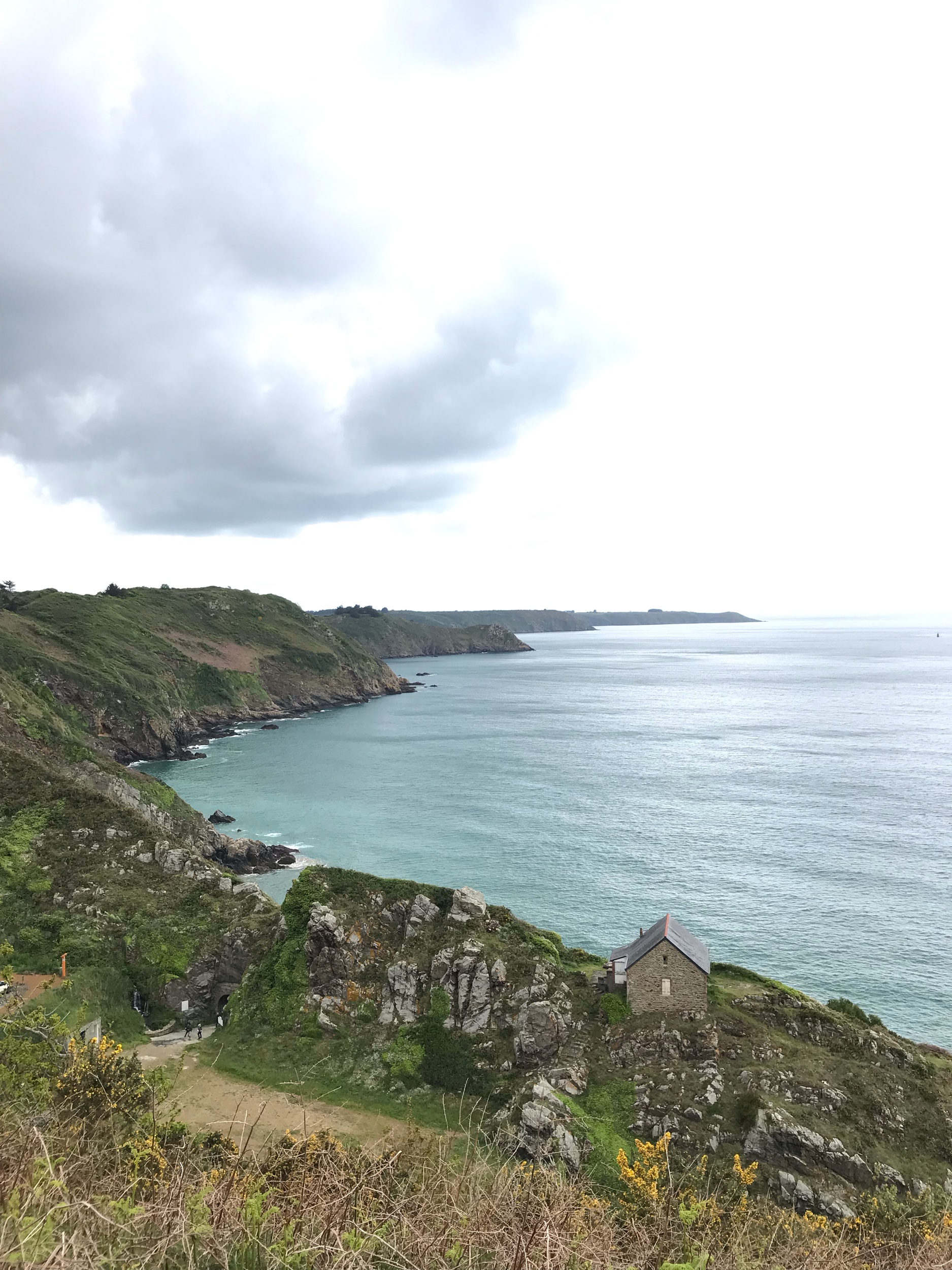IMG_7247.jpeg