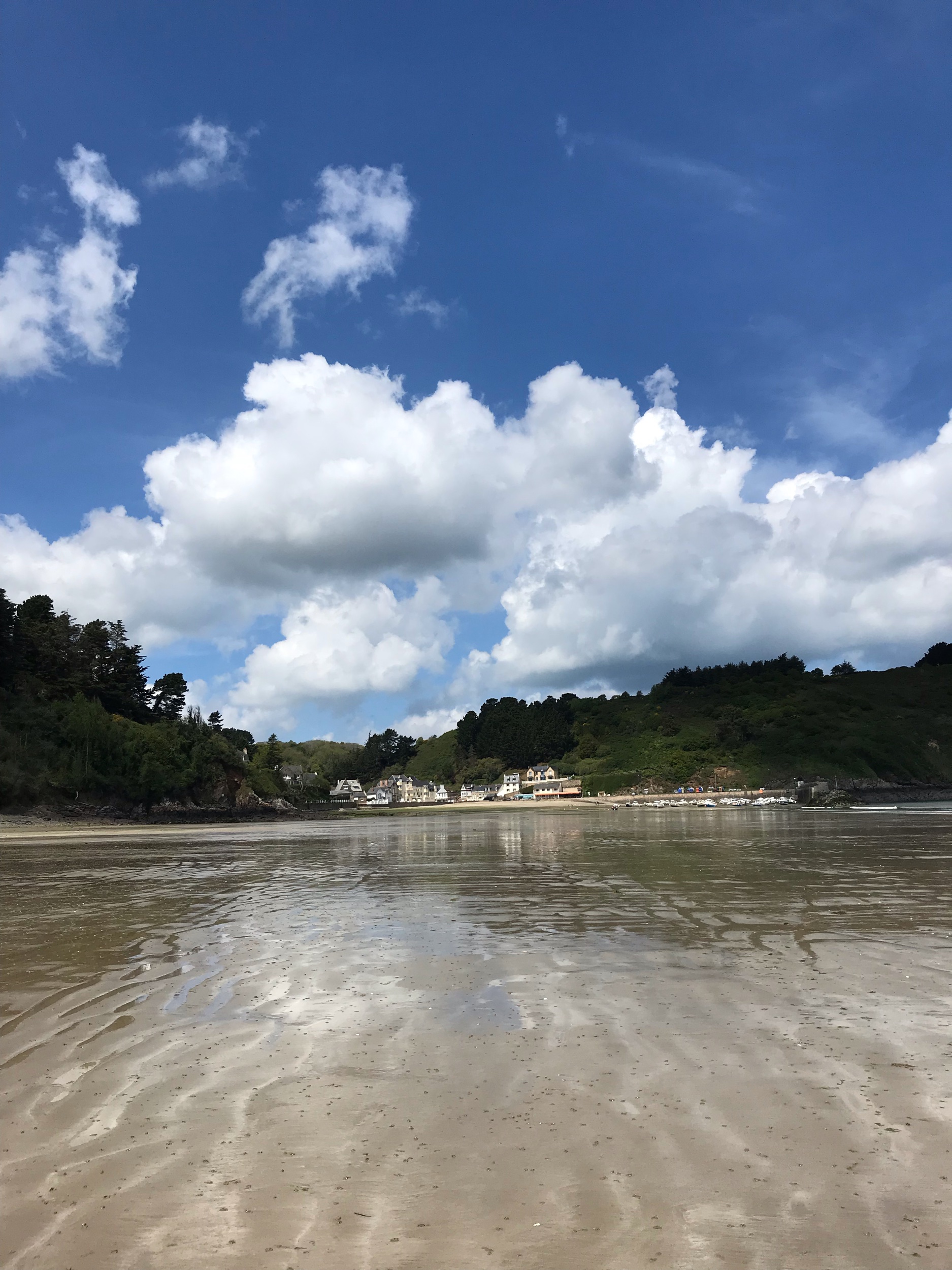 IMG_7288.jpeg