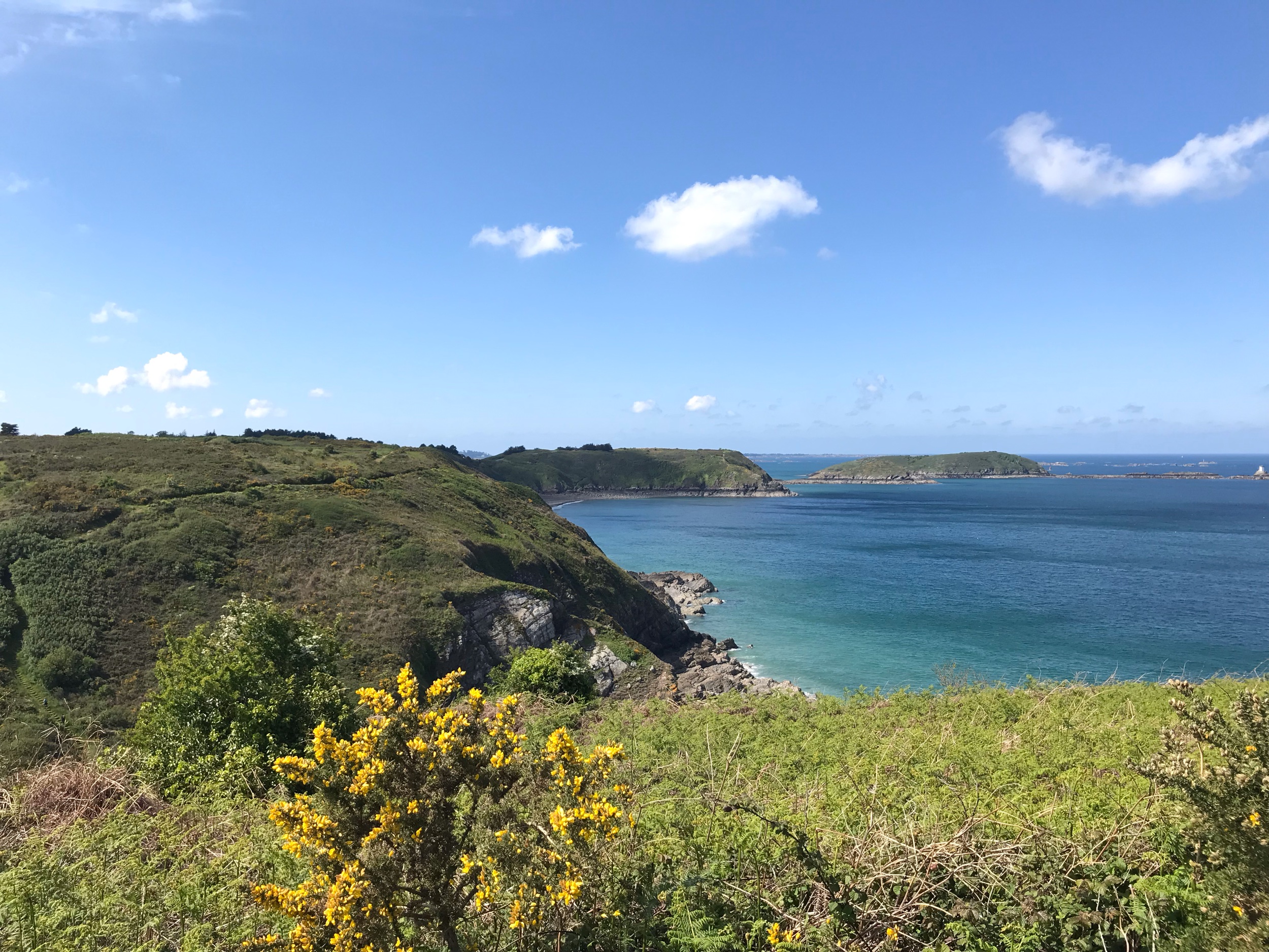 IMG_7307.jpeg
