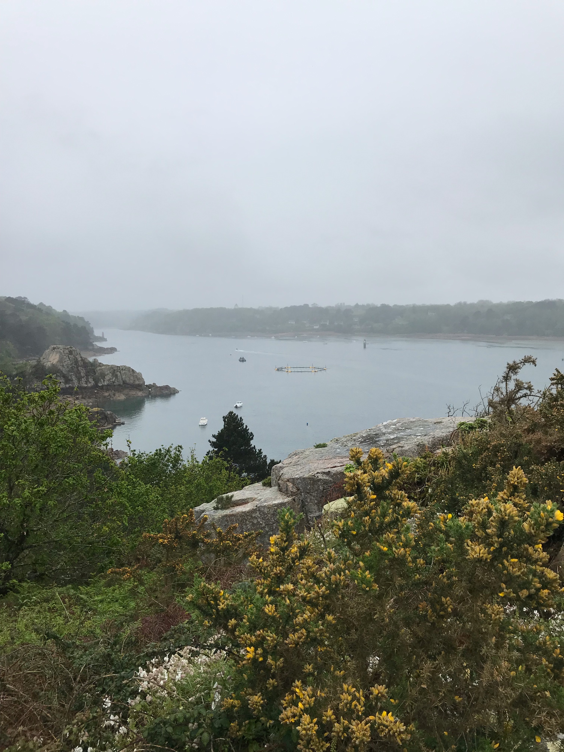 IMG_7384.jpeg