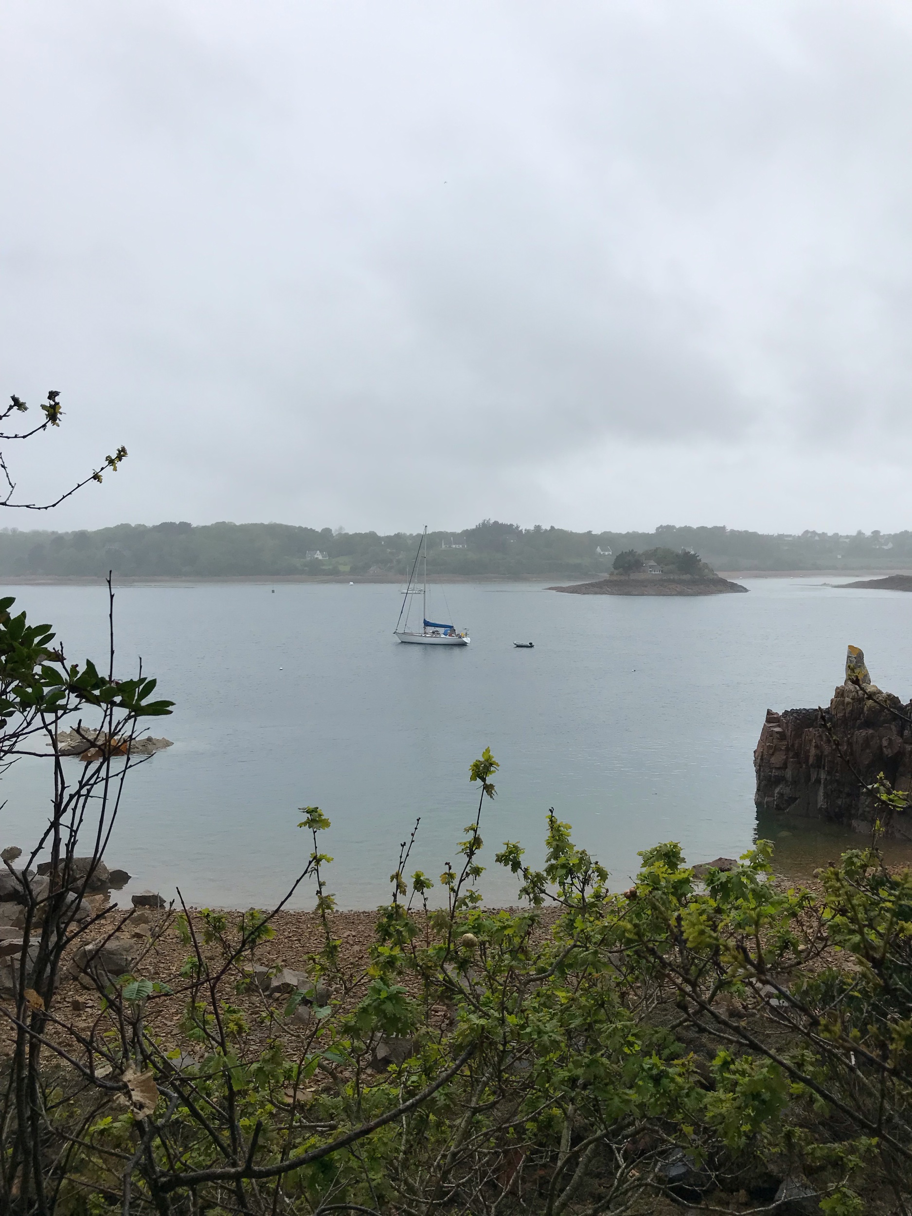 IMG_7387.jpeg