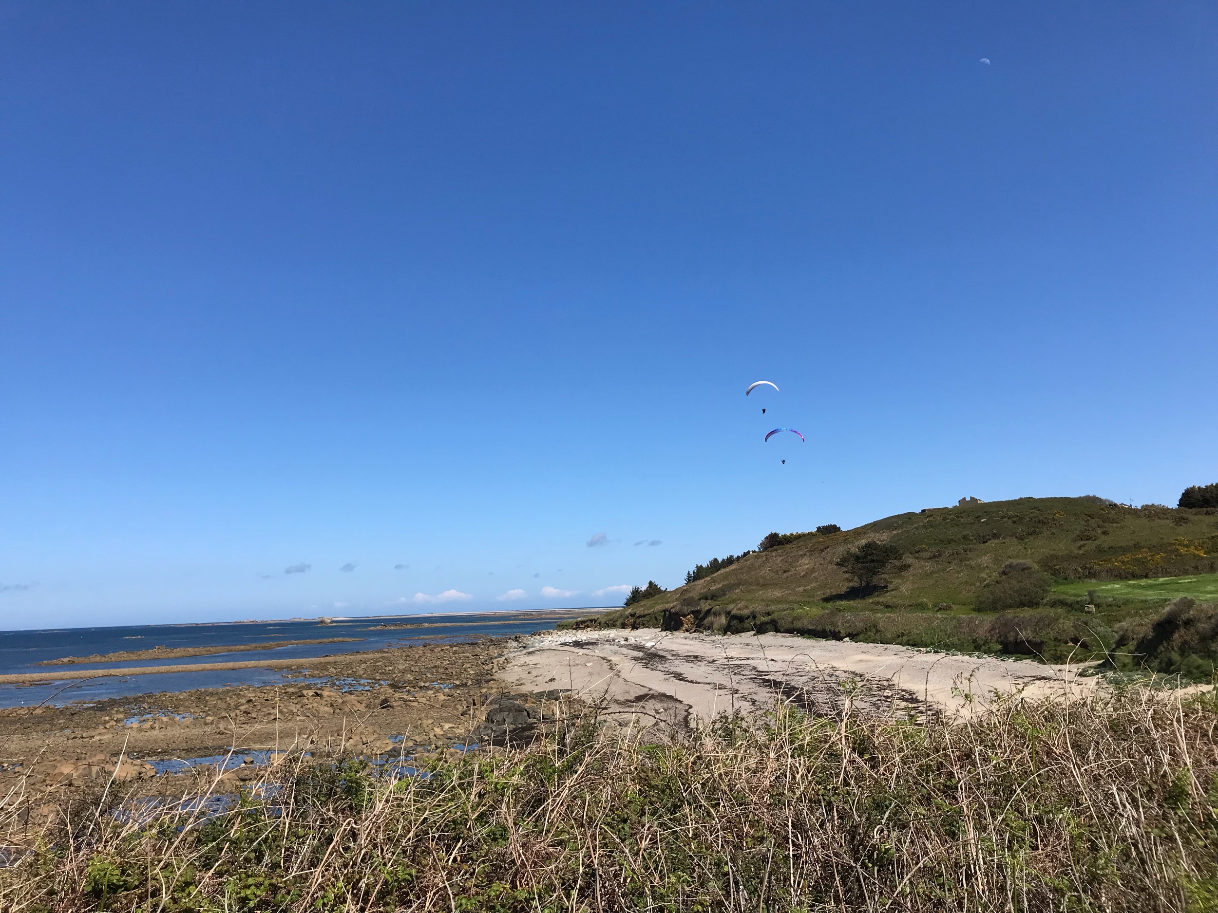 IMG_7448.jpeg