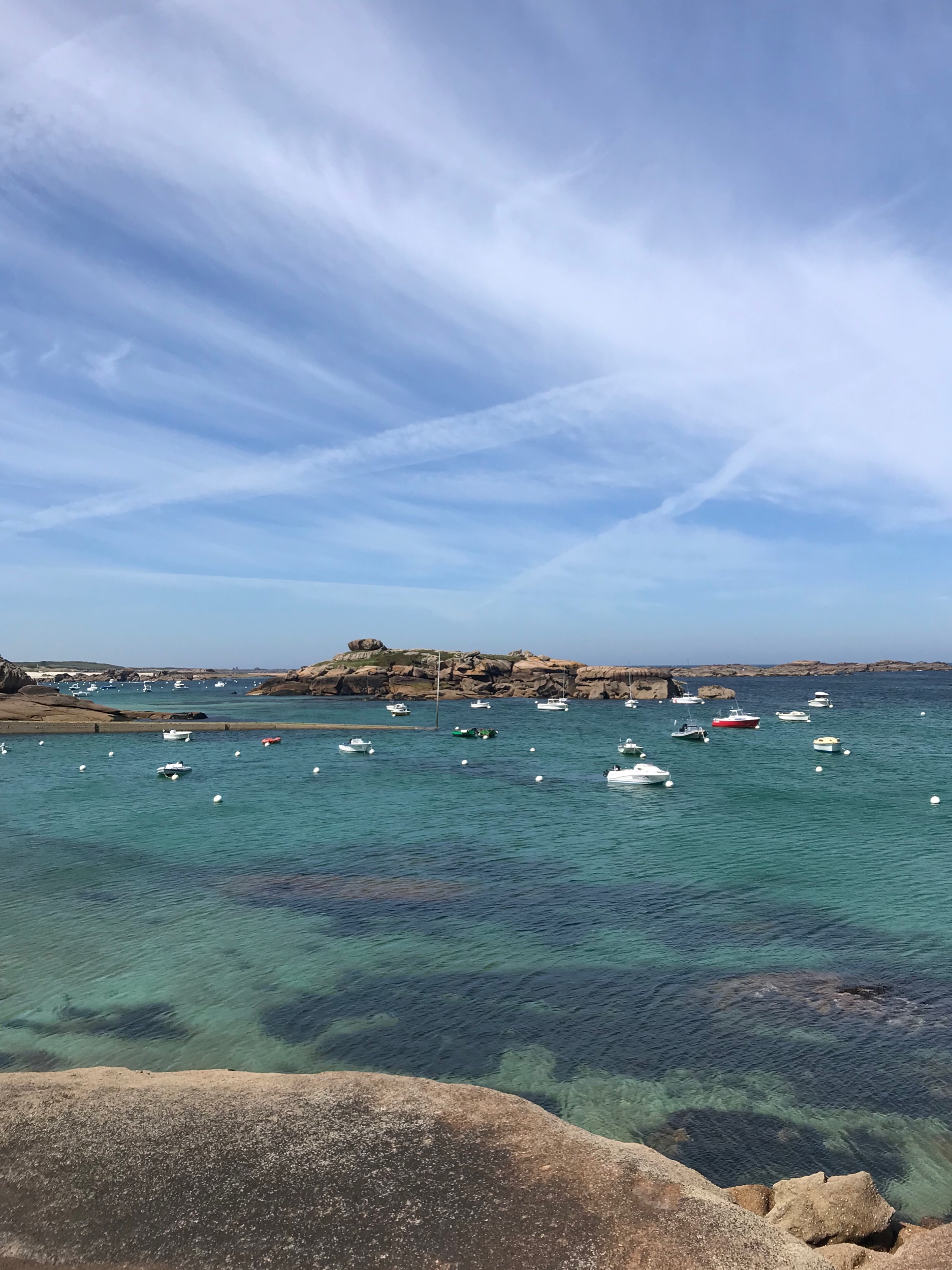 IMG_7638.jpeg