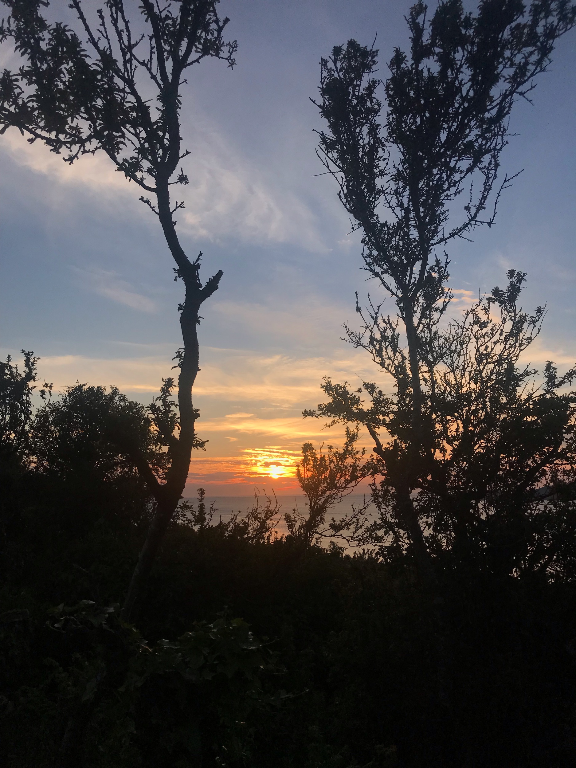 vUe du biVouaC hier