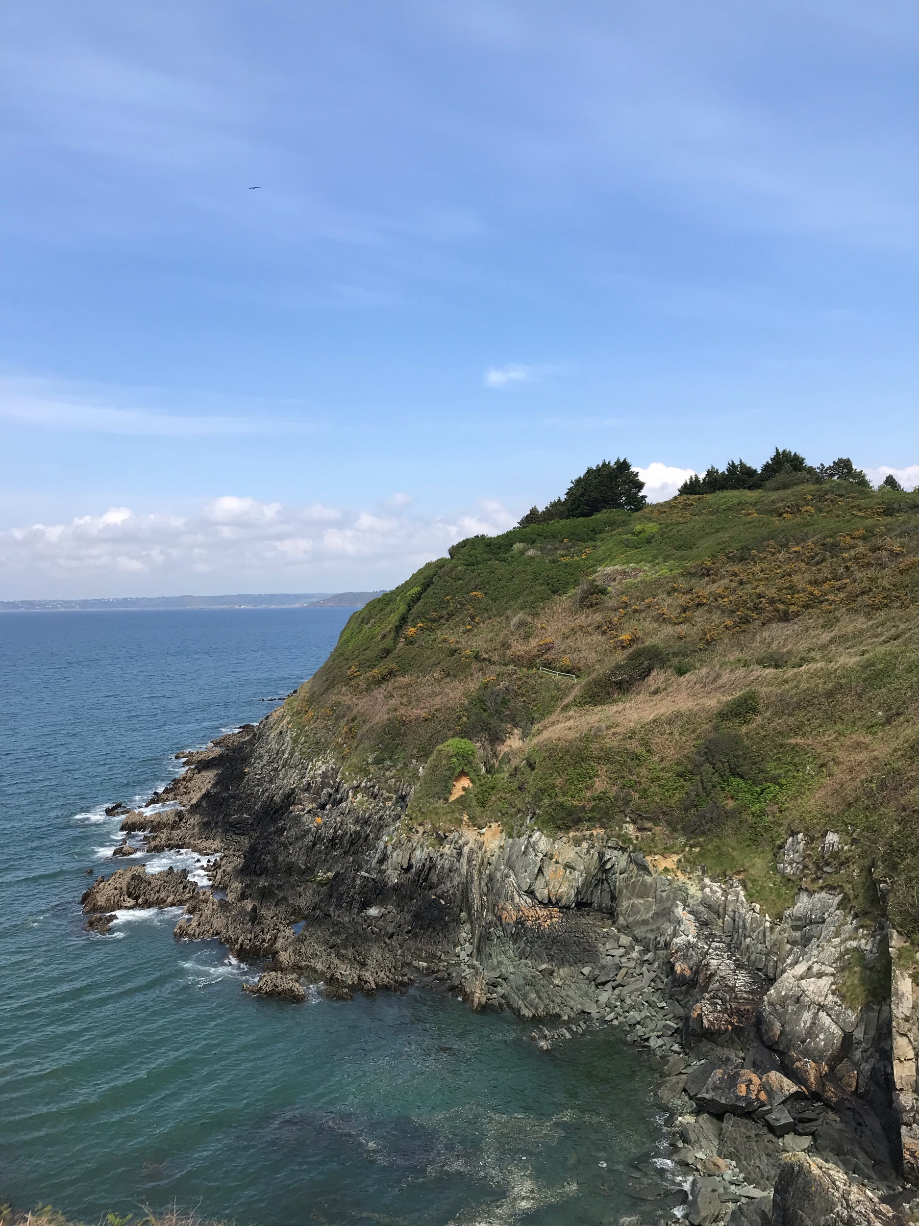 IMG_7801.jpeg