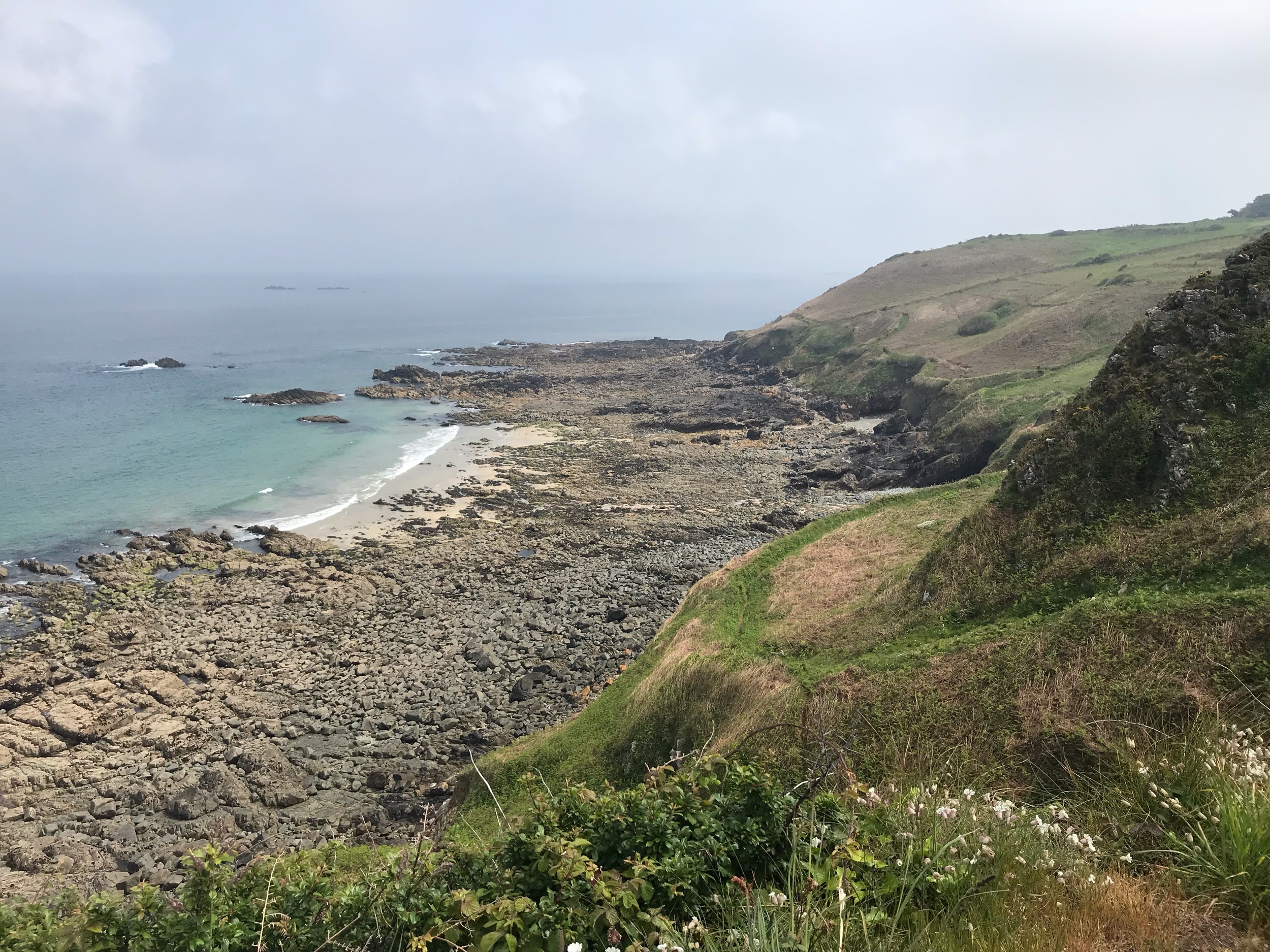 IMG_7852.jpeg
