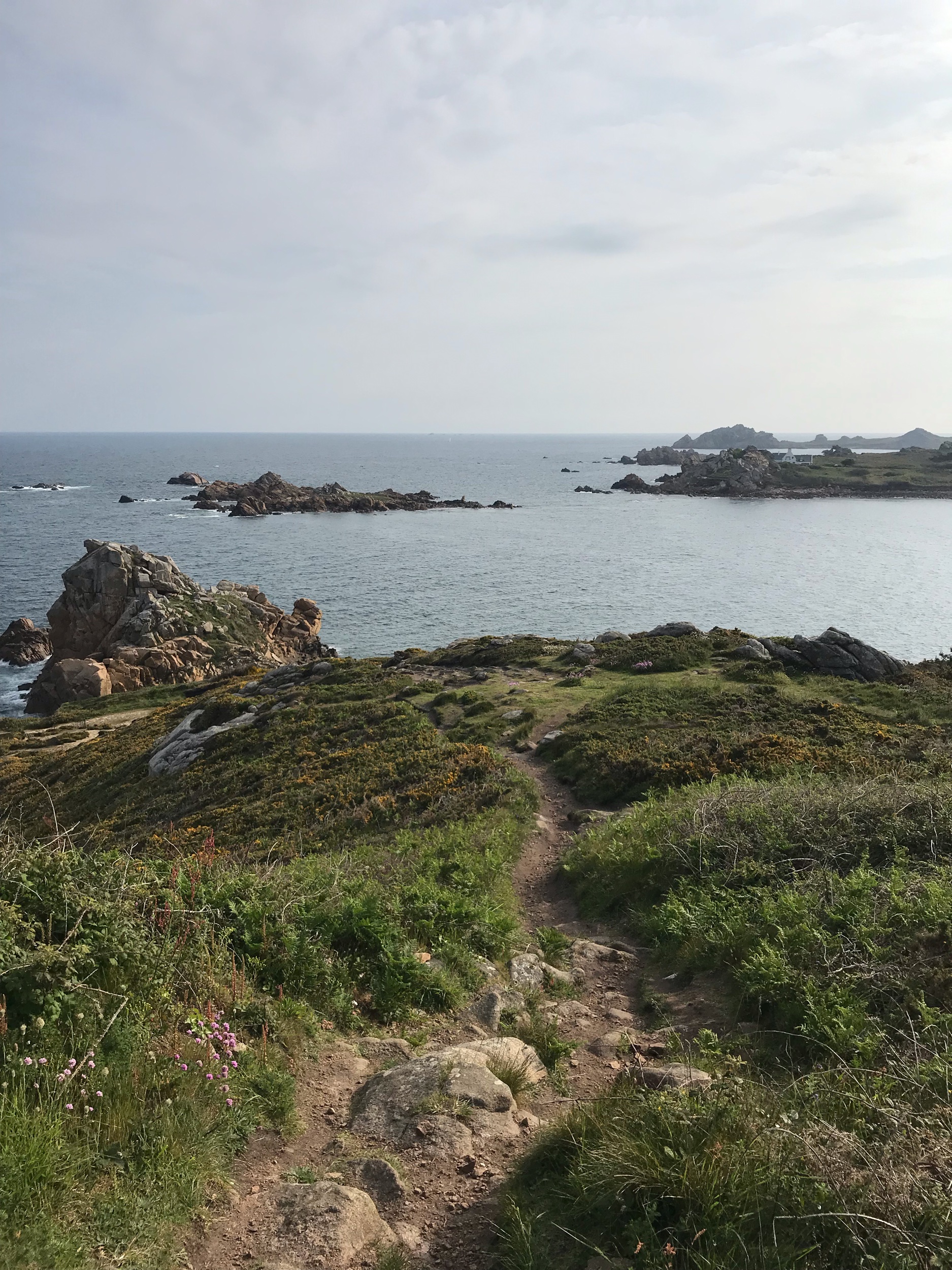 IMG_7907.jpeg